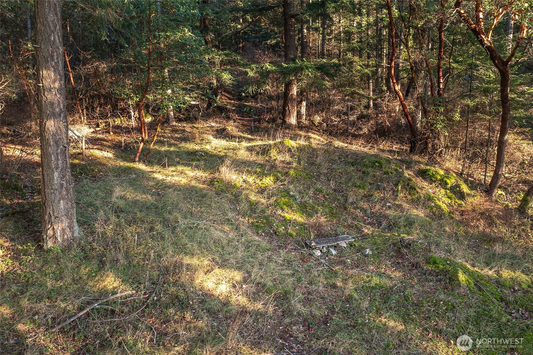 558 Buck Mt. Road