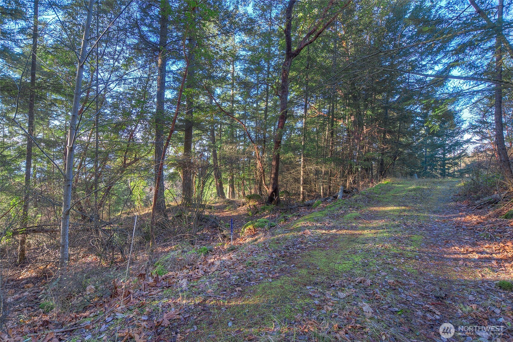 558 Buck Mt. Road