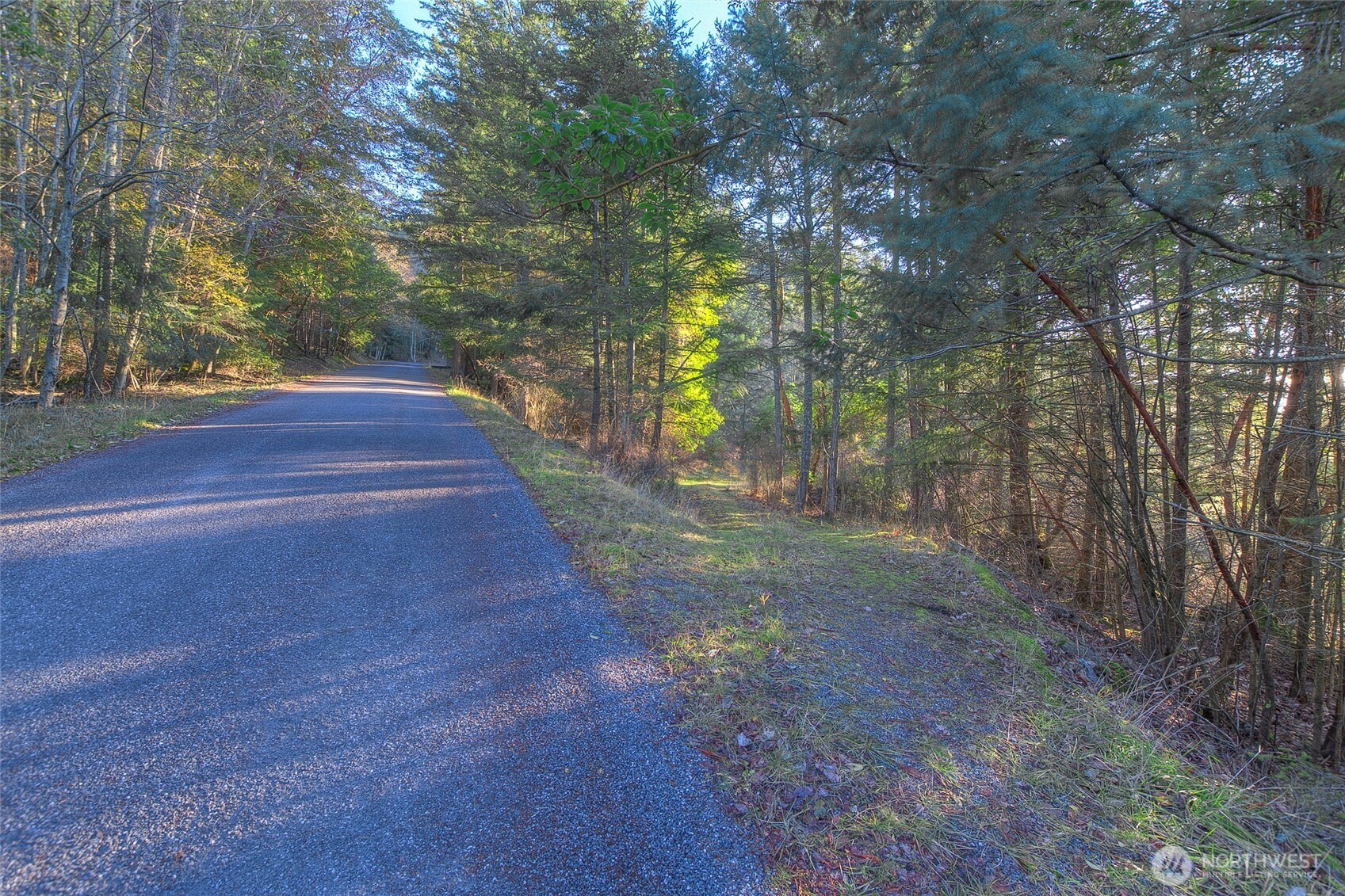 558 Buck Mt. Road
