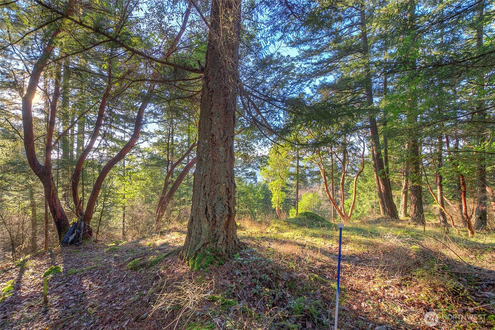 558 Buck Mt. Road