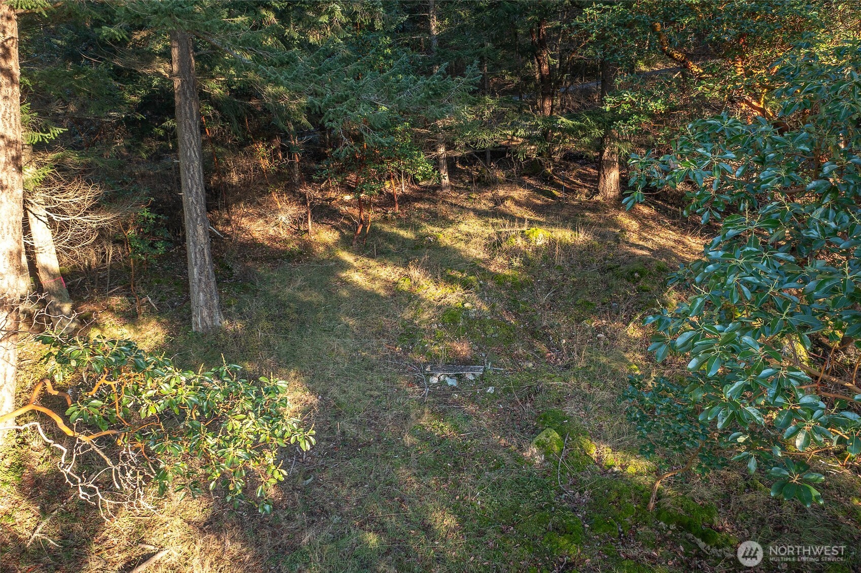 558 Buck Mt. Road