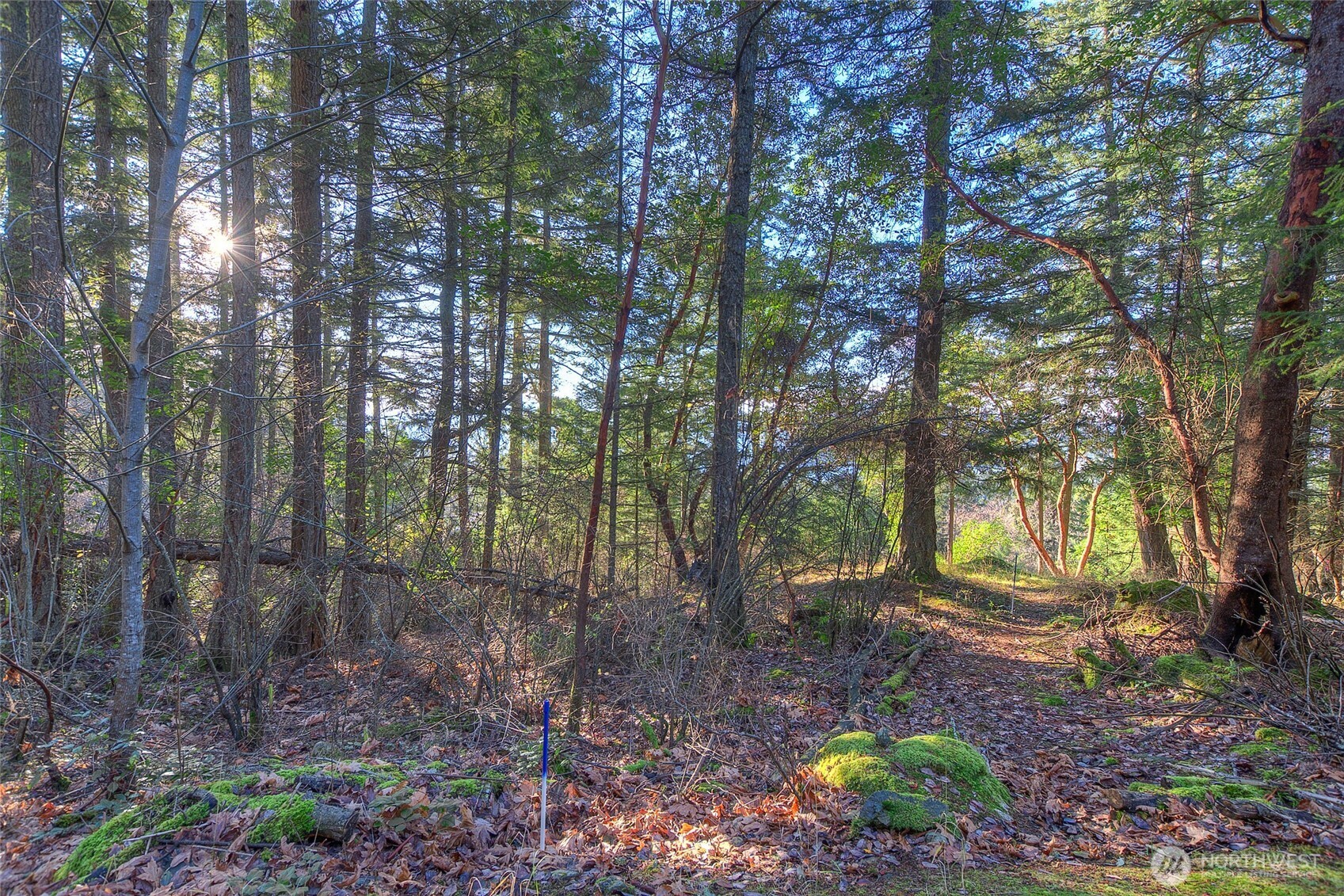 558 Buck Mt. Road