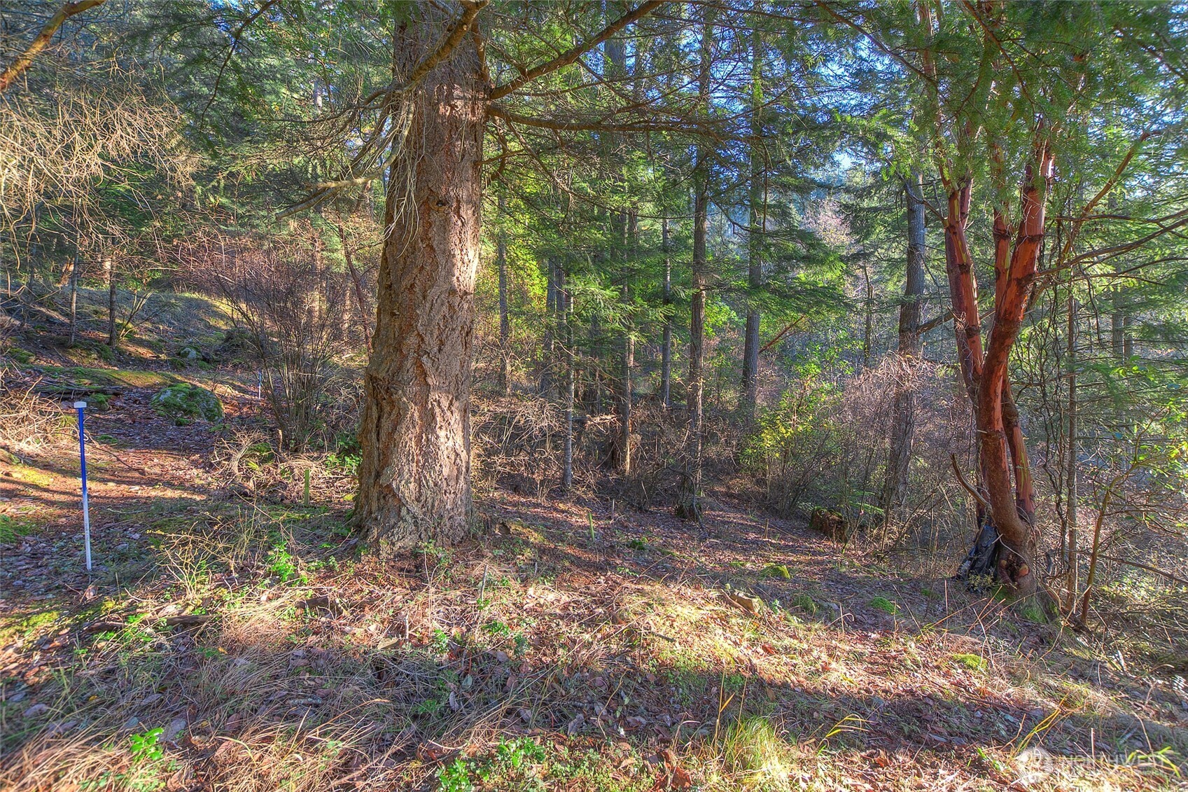558 Buck Mt. Road