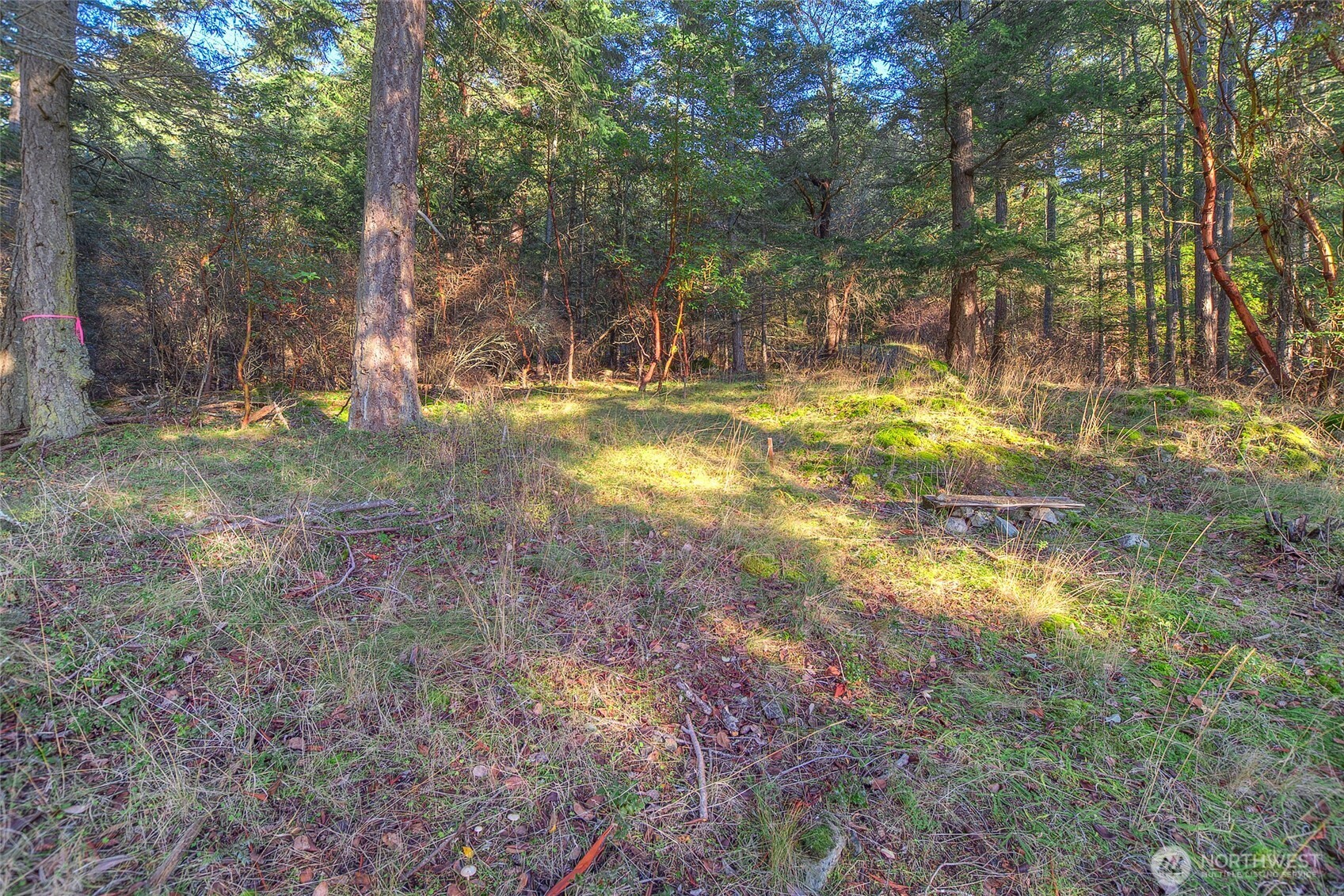 558 Buck Mt. Road