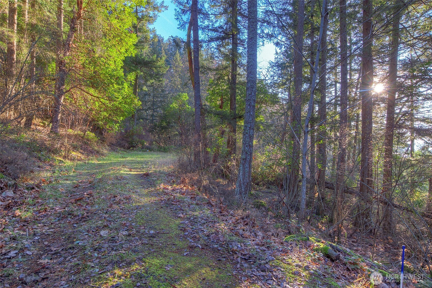 558 Buck Mt. Road