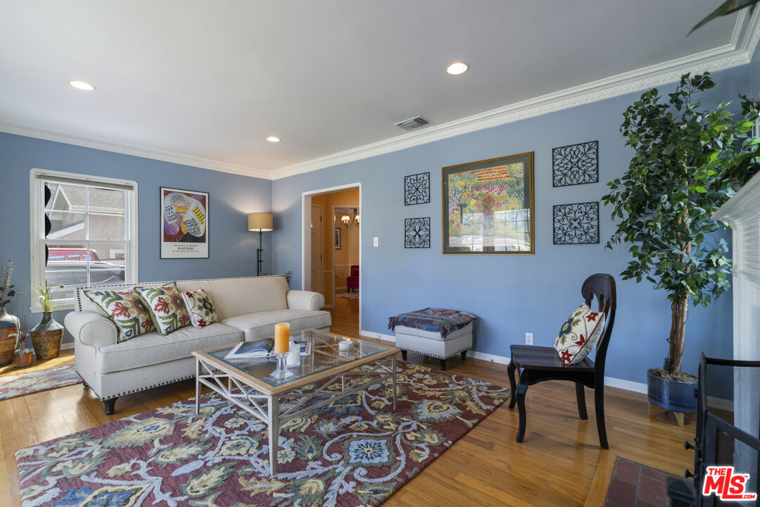 Living room with blue walls, a white sofa, patterned rug, and large potted tree.