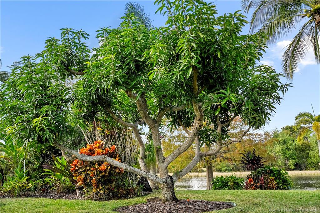 2269 SW Dove Canyon Way