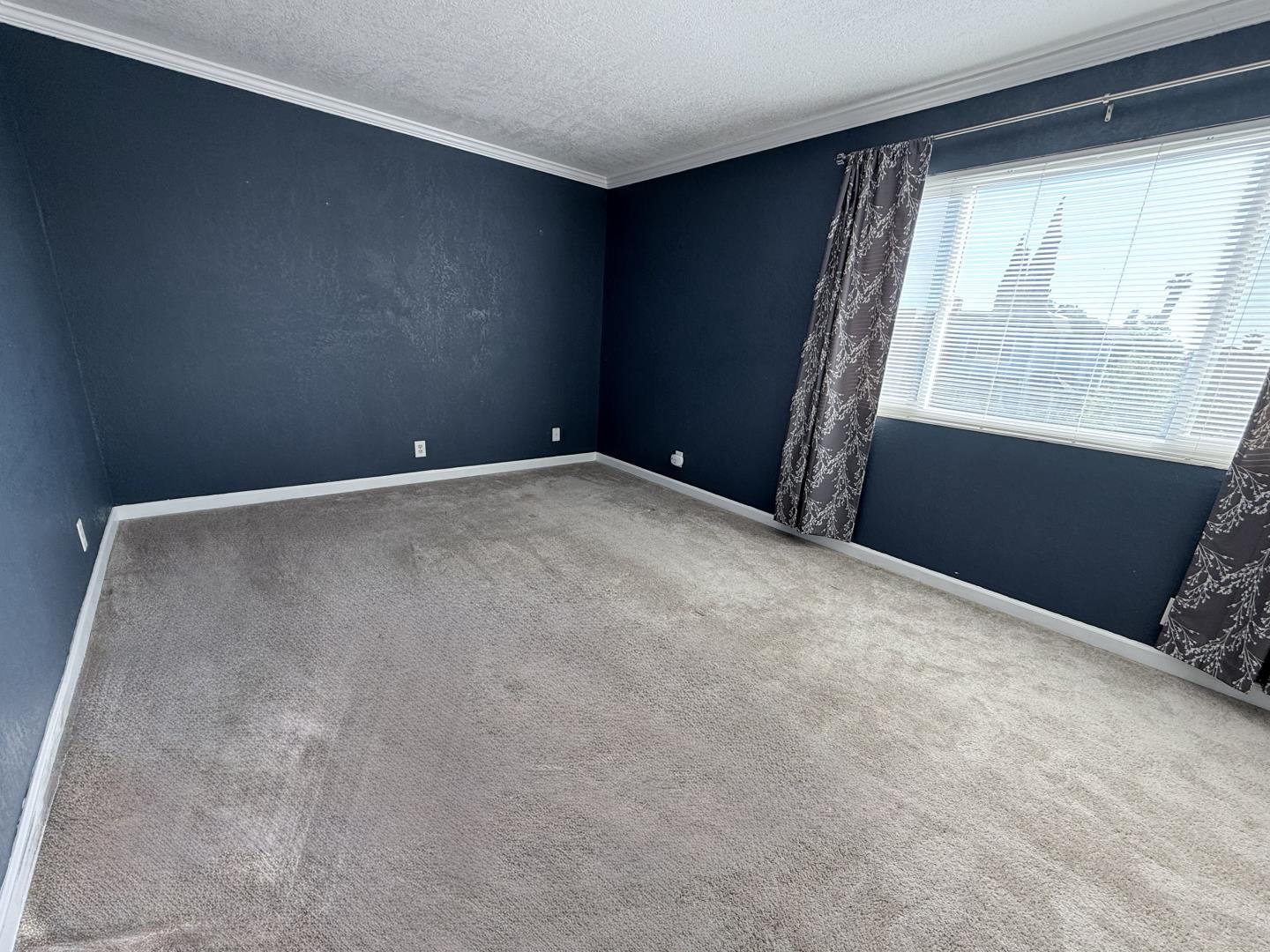 2423 Baltic Drive