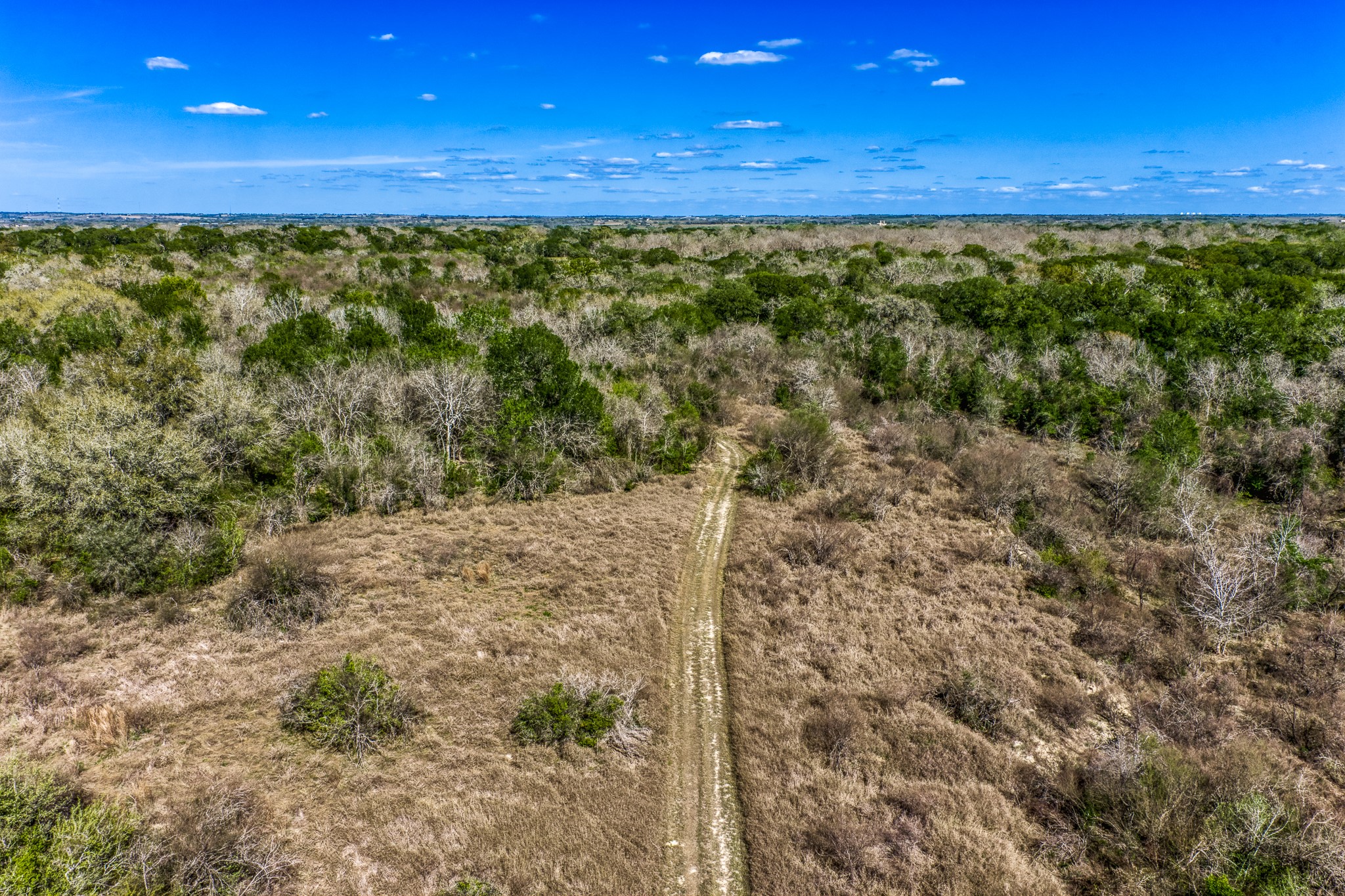 687 County Road 340