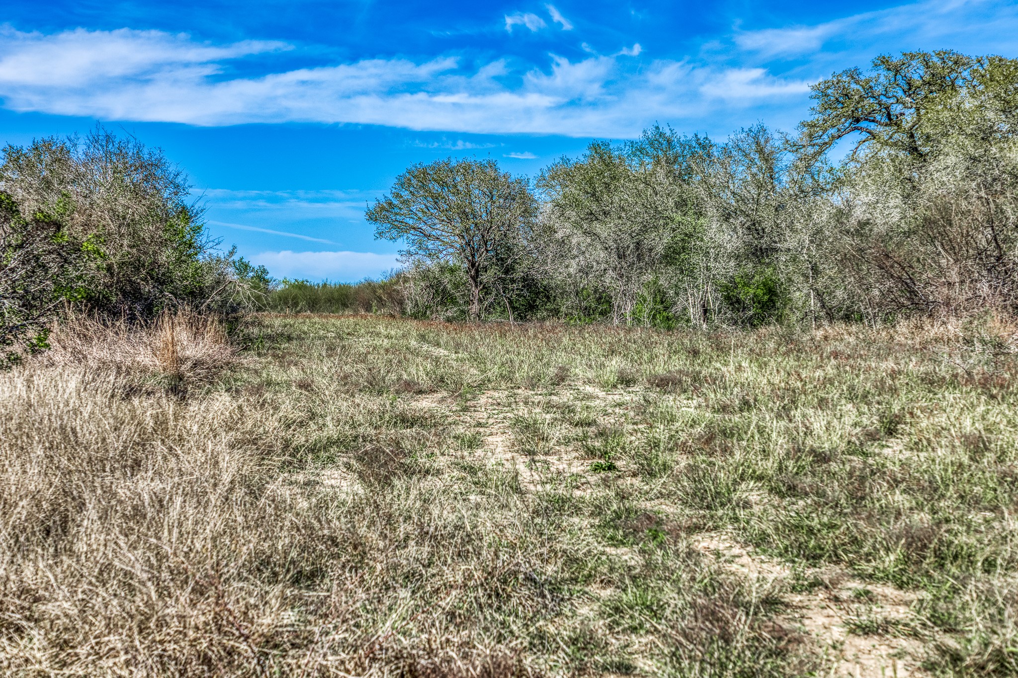 687 County Road 340