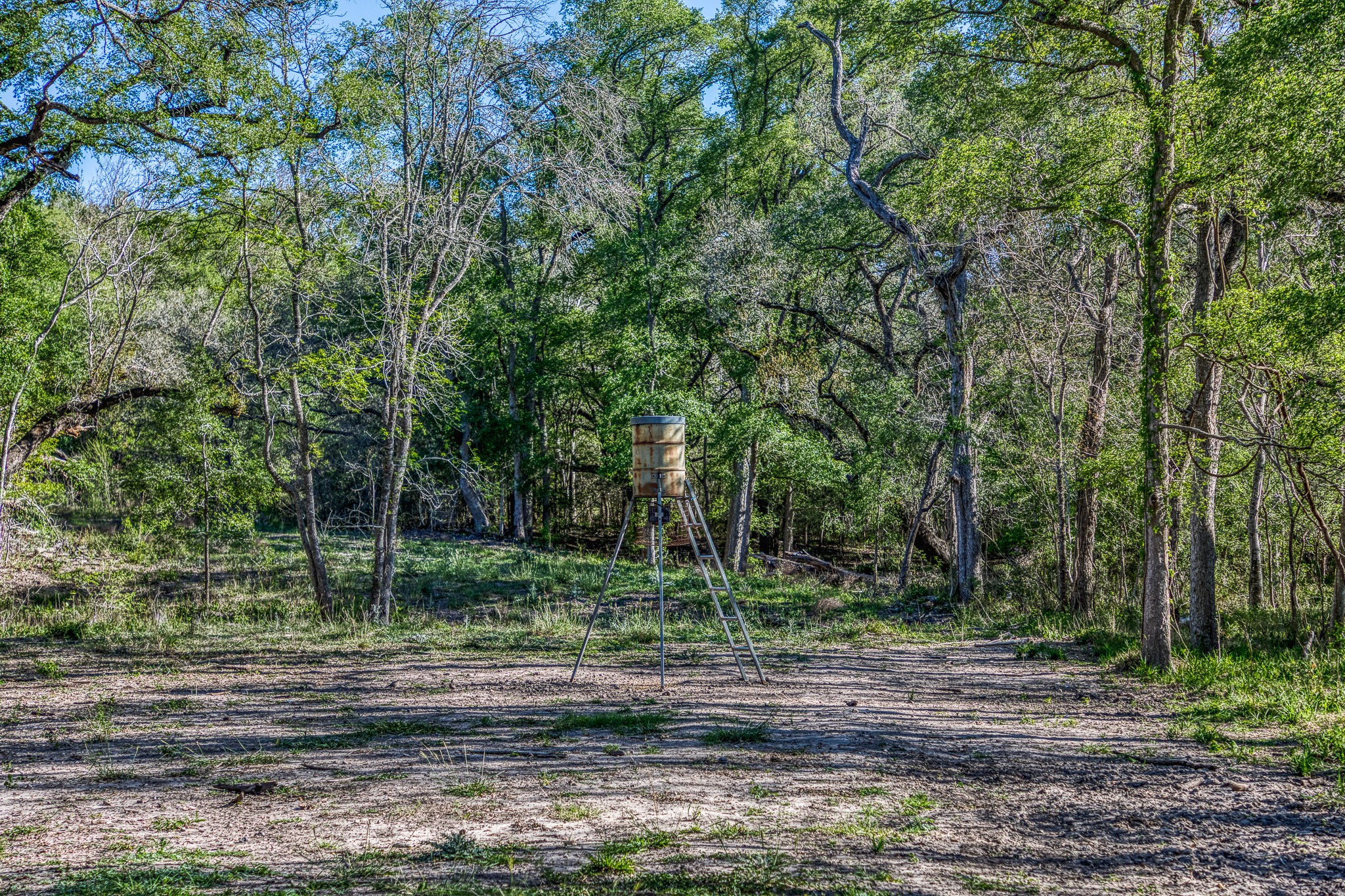 687 County Road 340