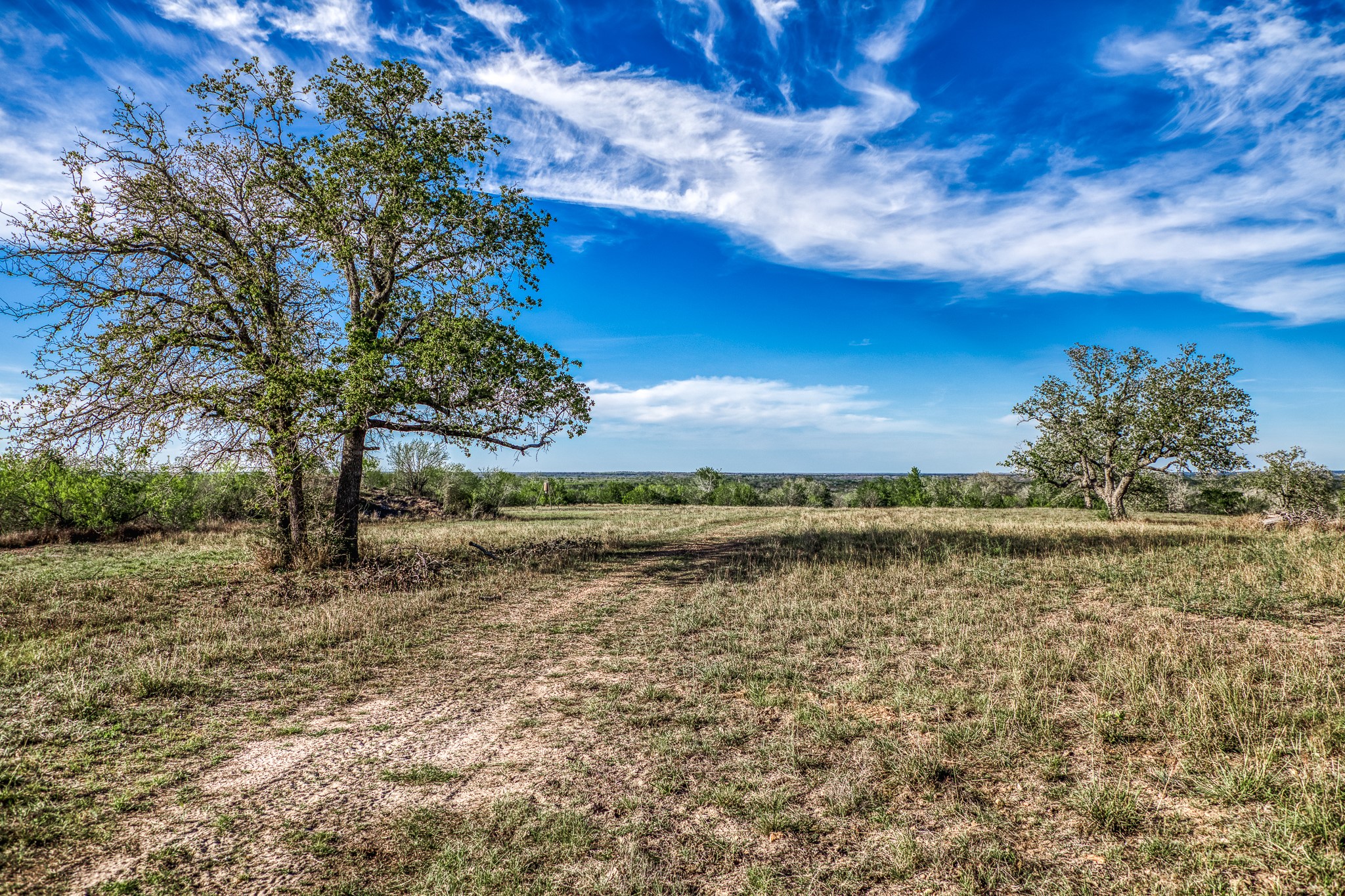 687 County Road 340