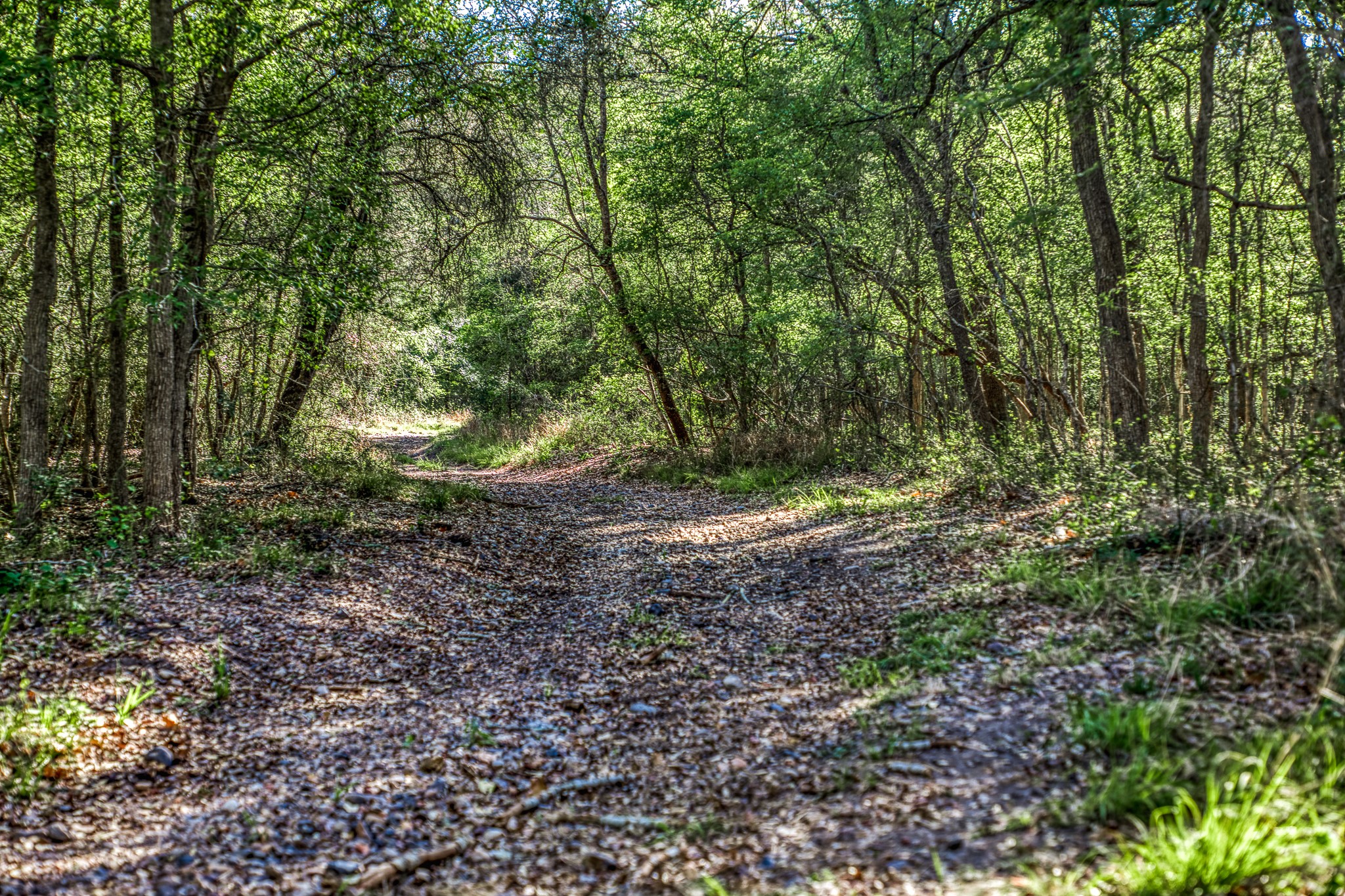 687 County Road 340