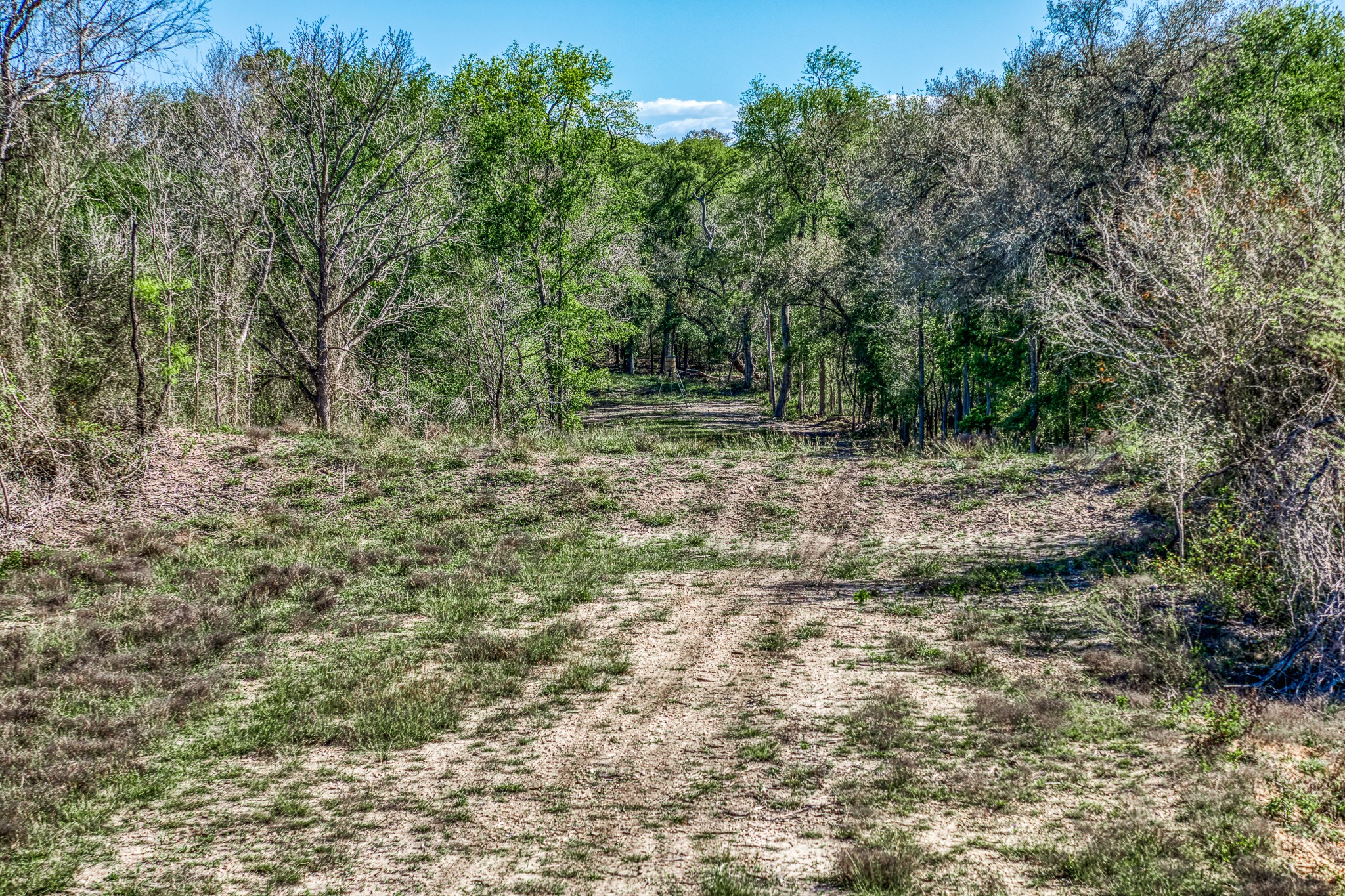 687 County Road 340