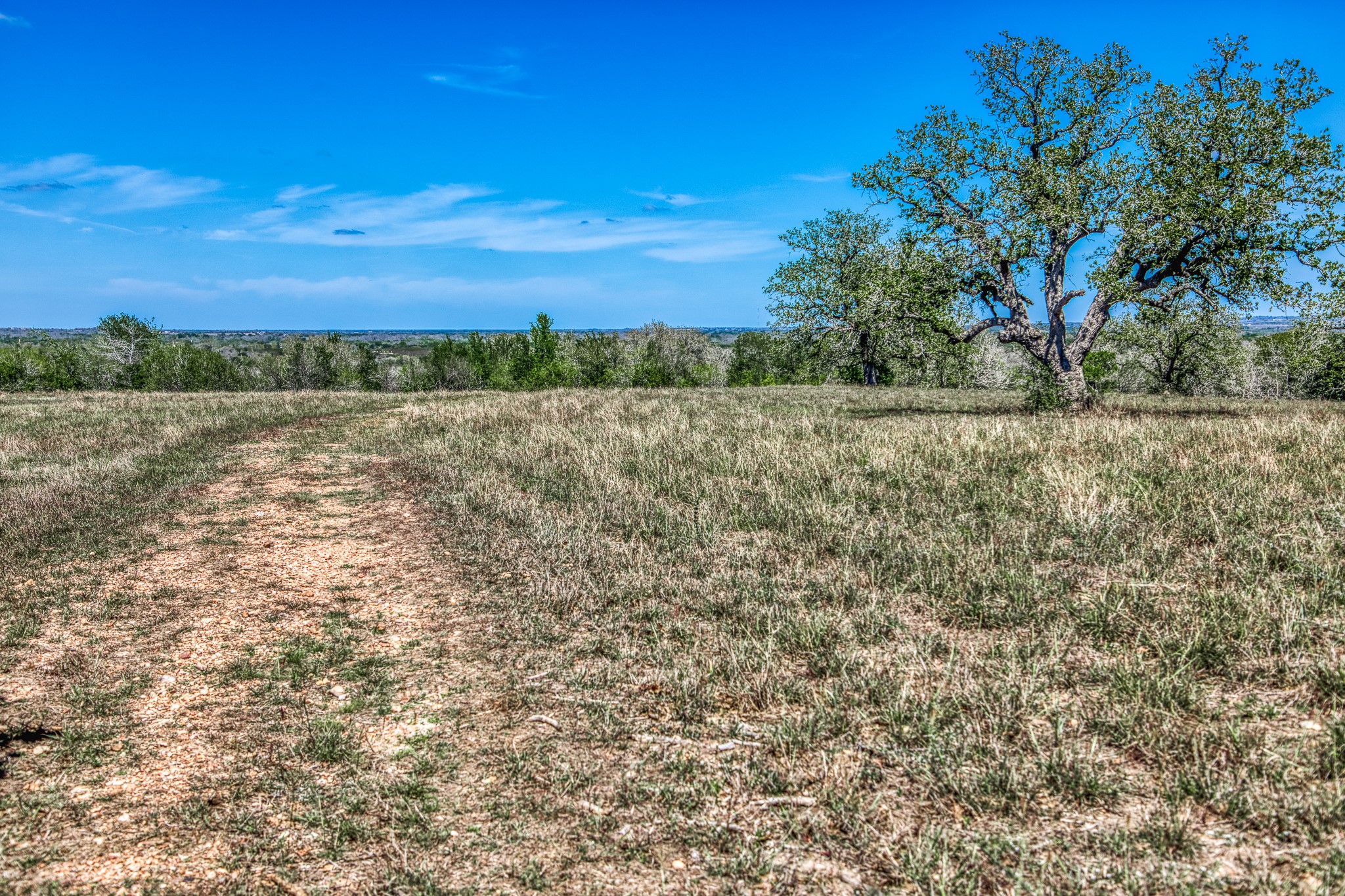 687 County Road 340