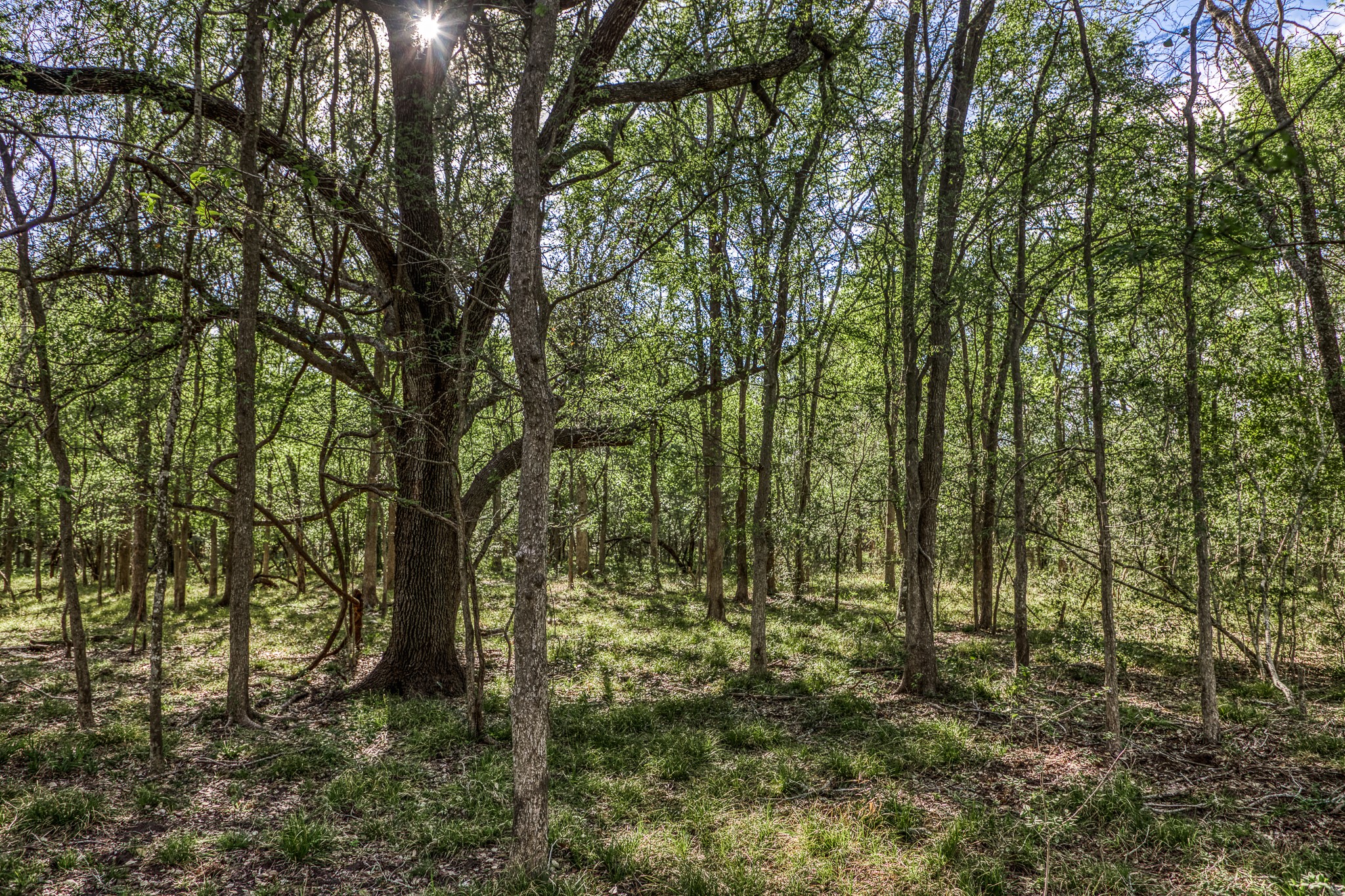 687 County Road 340