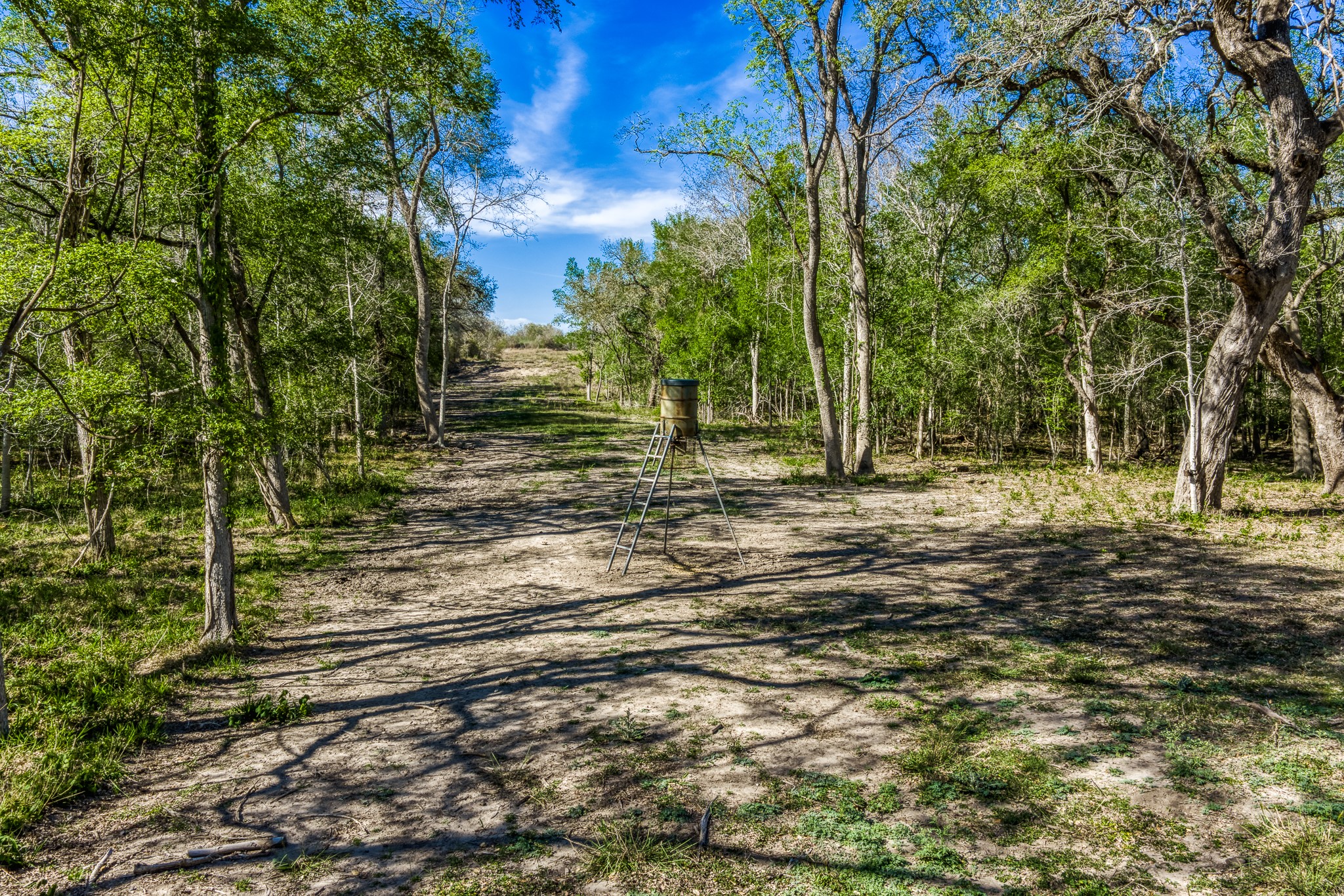 687 County Road 340