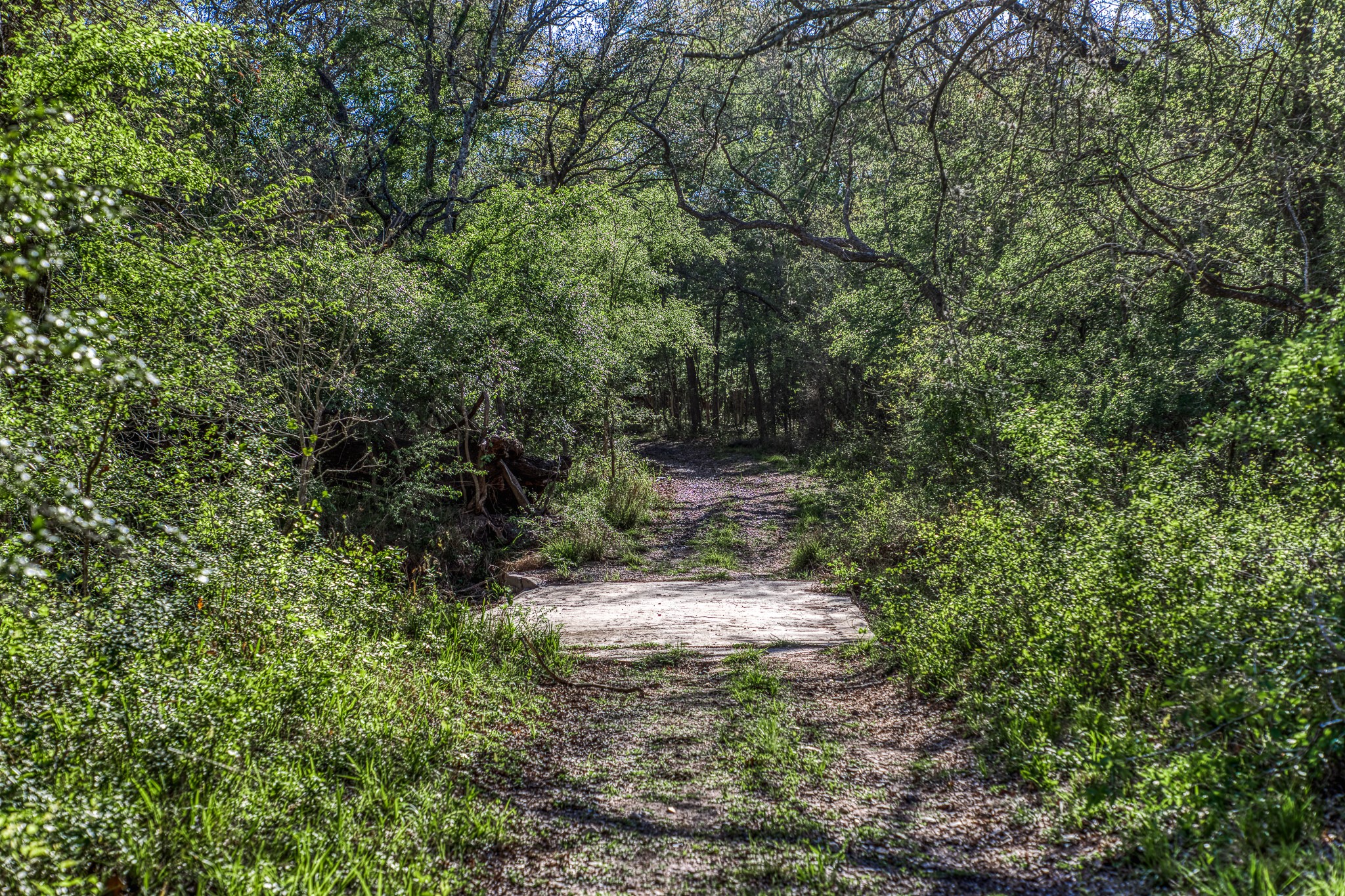 687 County Road 340