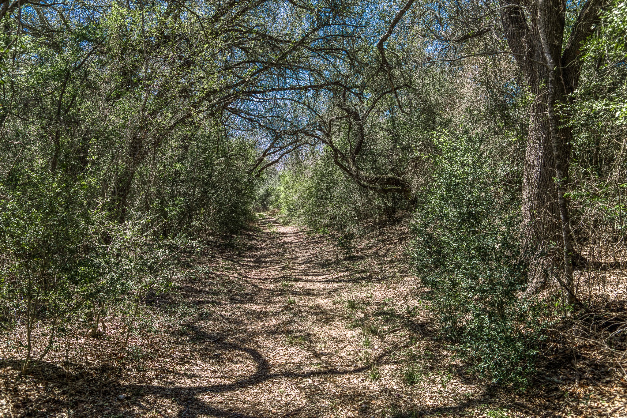687 County Road 340