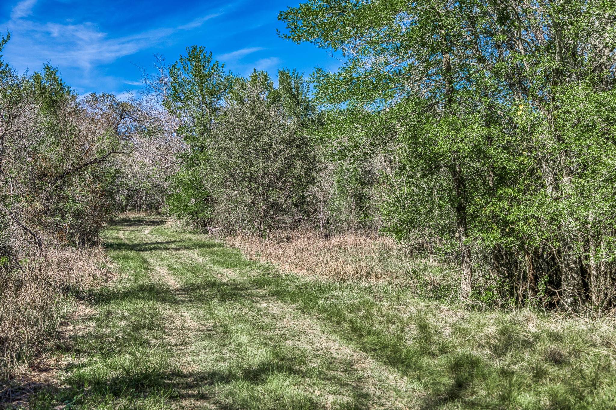 687 County Road 340