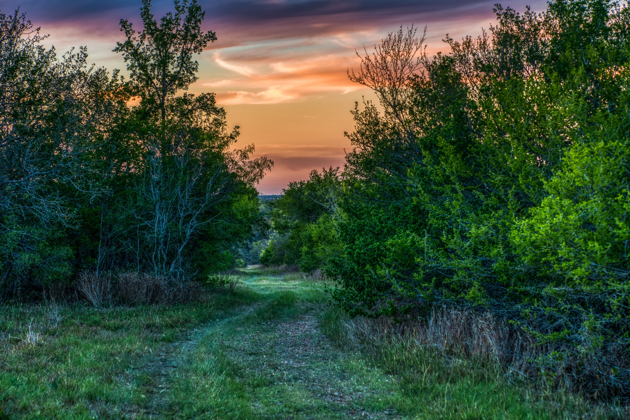 687 County Road 340