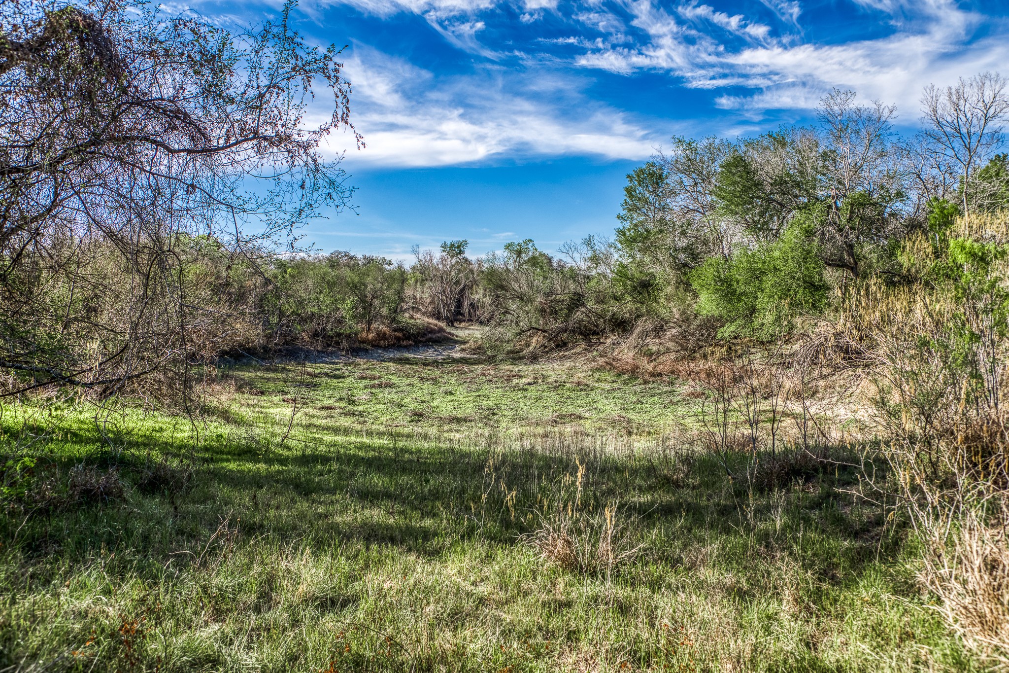 687 County Road 340