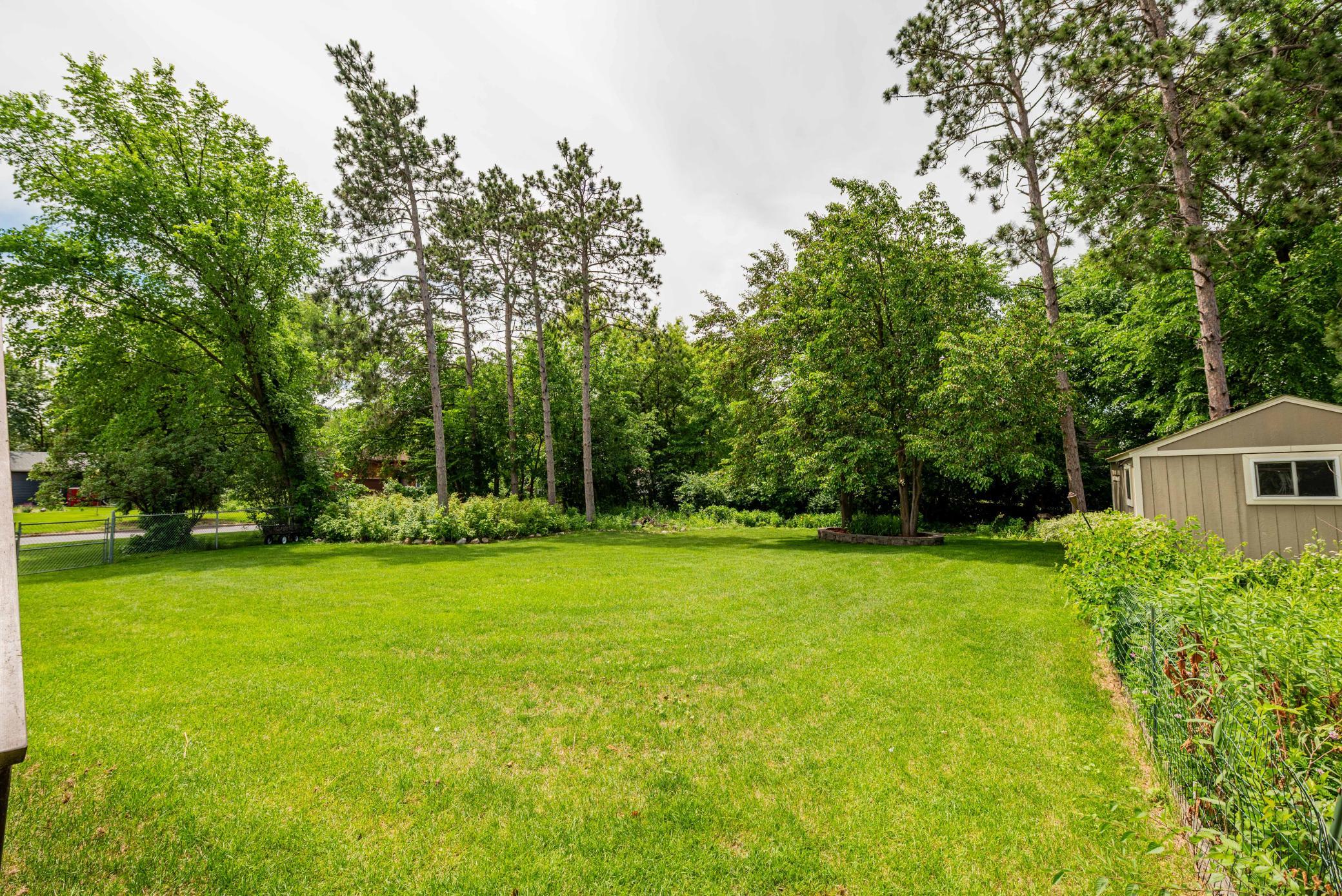 13441 Balsam Lane N