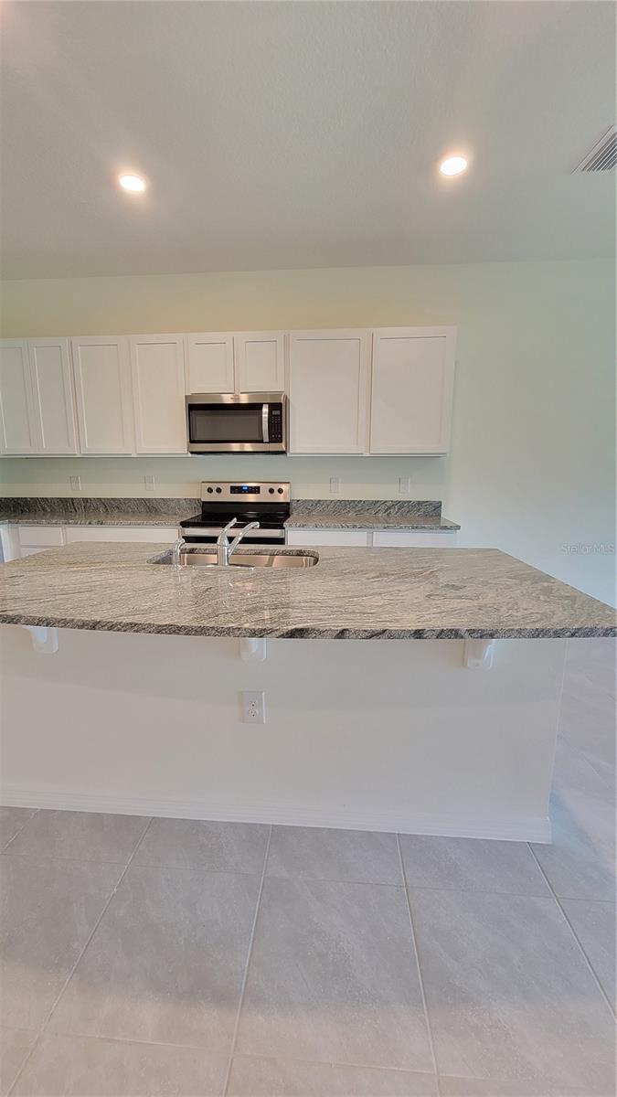 32173 TURTLE GRACE LOOP