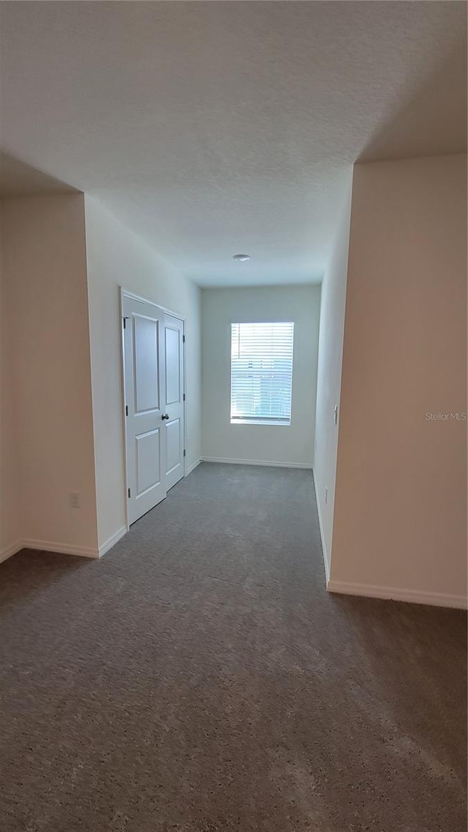 32173 TURTLE GRACE LOOP