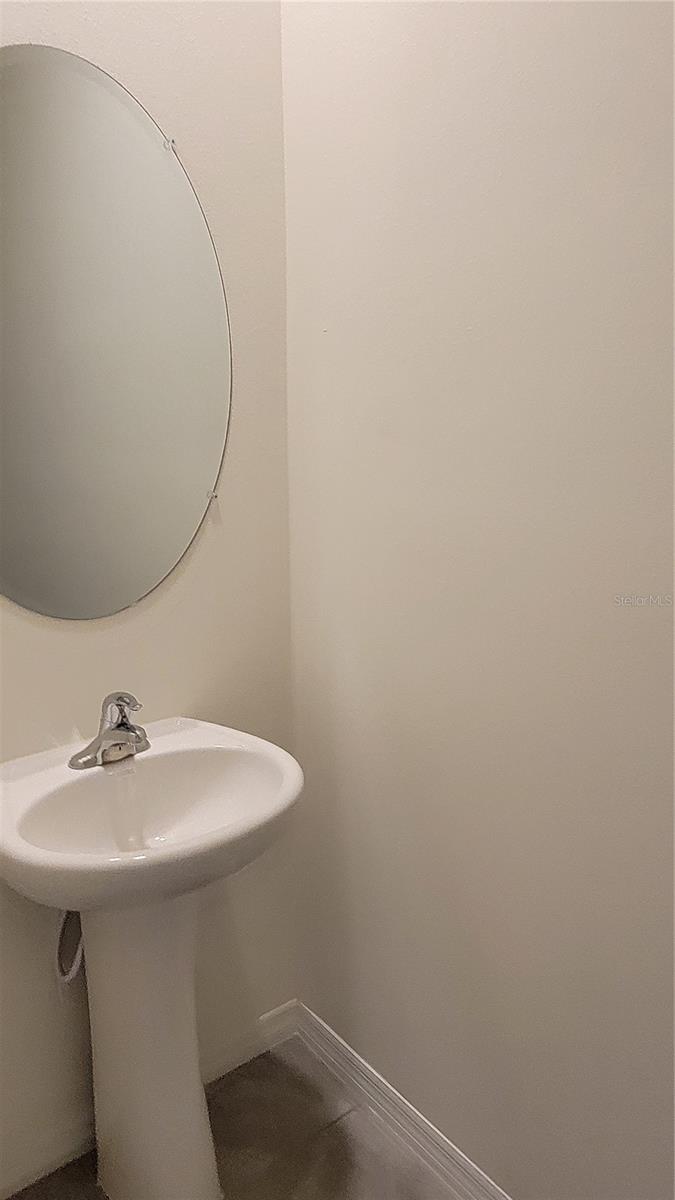 32173 TURTLE GRACE LOOP