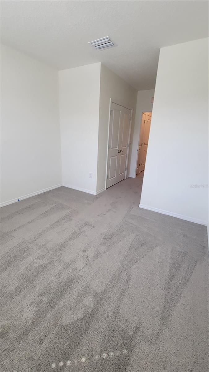 32173 TURTLE GRACE LOOP