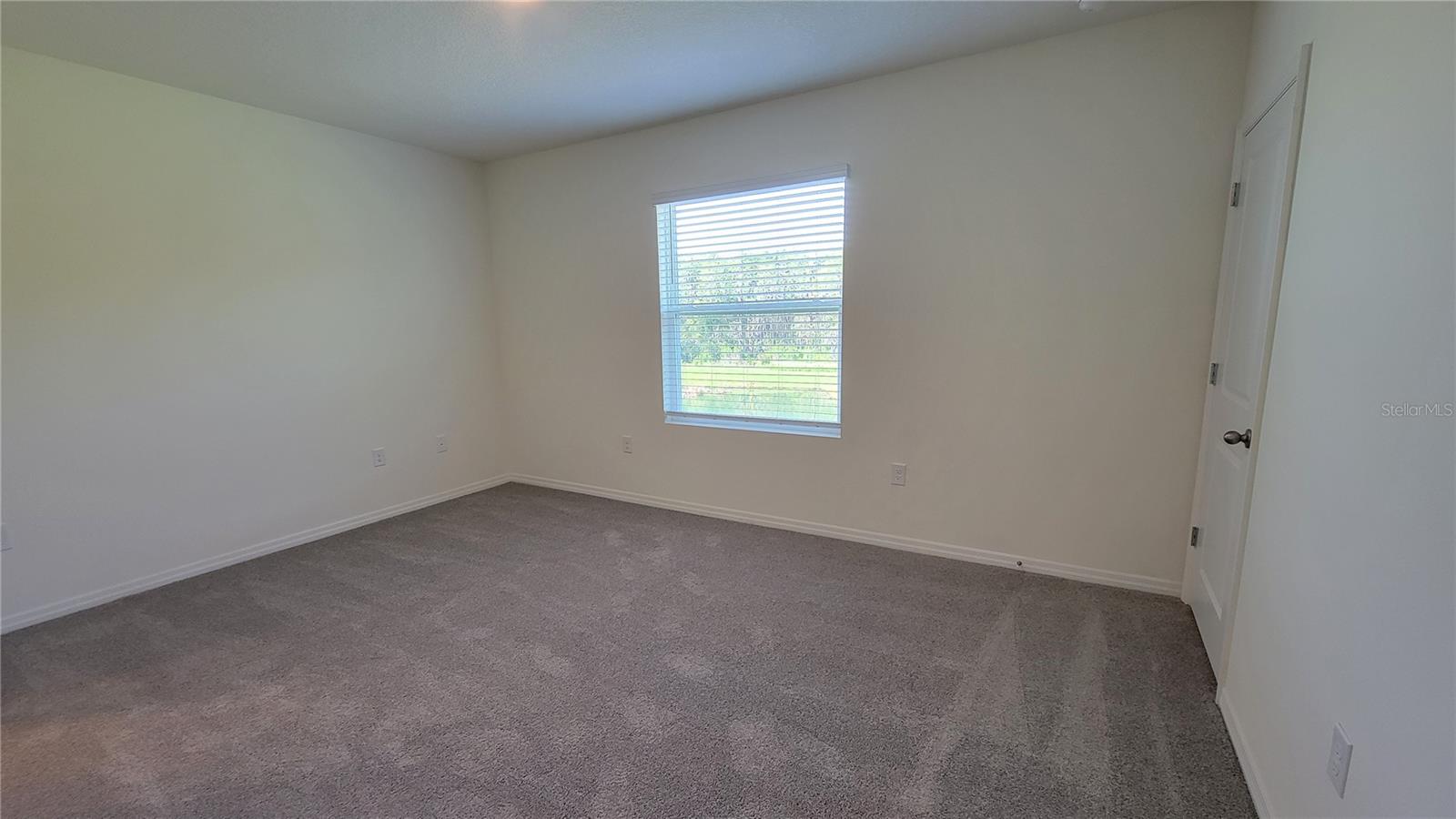 32173 TURTLE GRACE LOOP