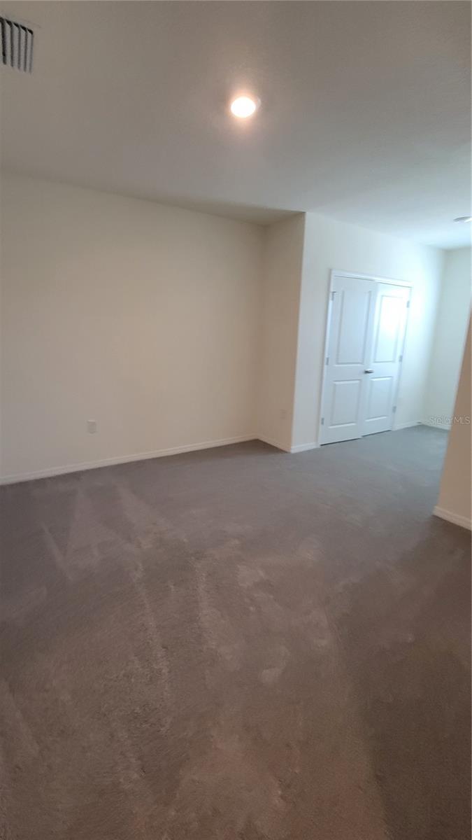 32173 TURTLE GRACE LOOP