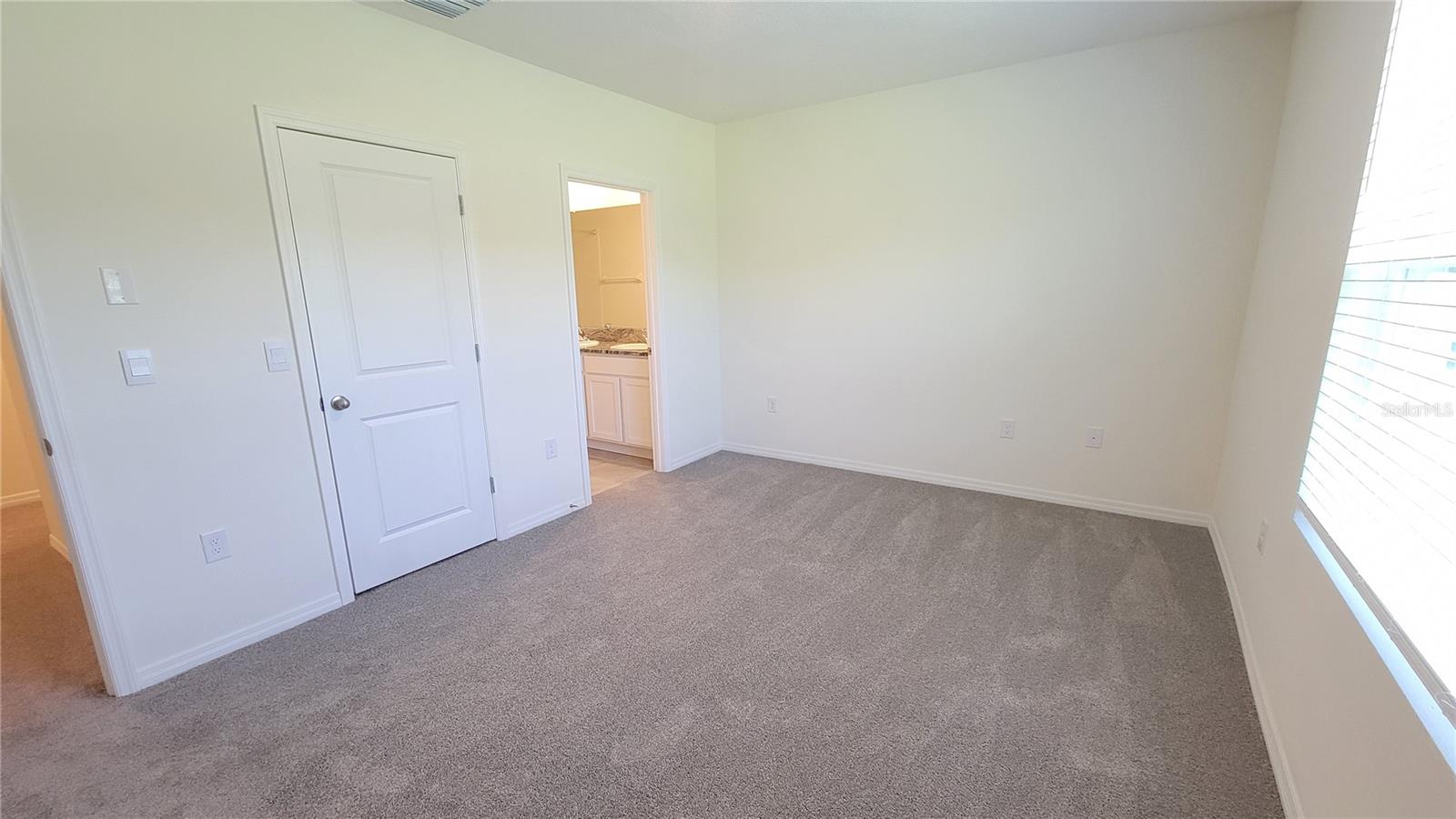 32173 TURTLE GRACE LOOP