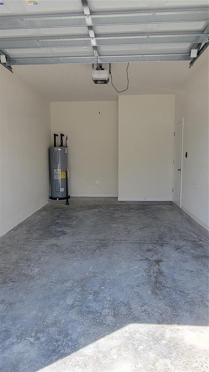 32173 TURTLE GRACE LOOP