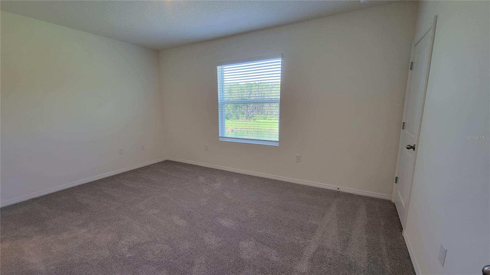 32173 TURTLE GRACE LOOP