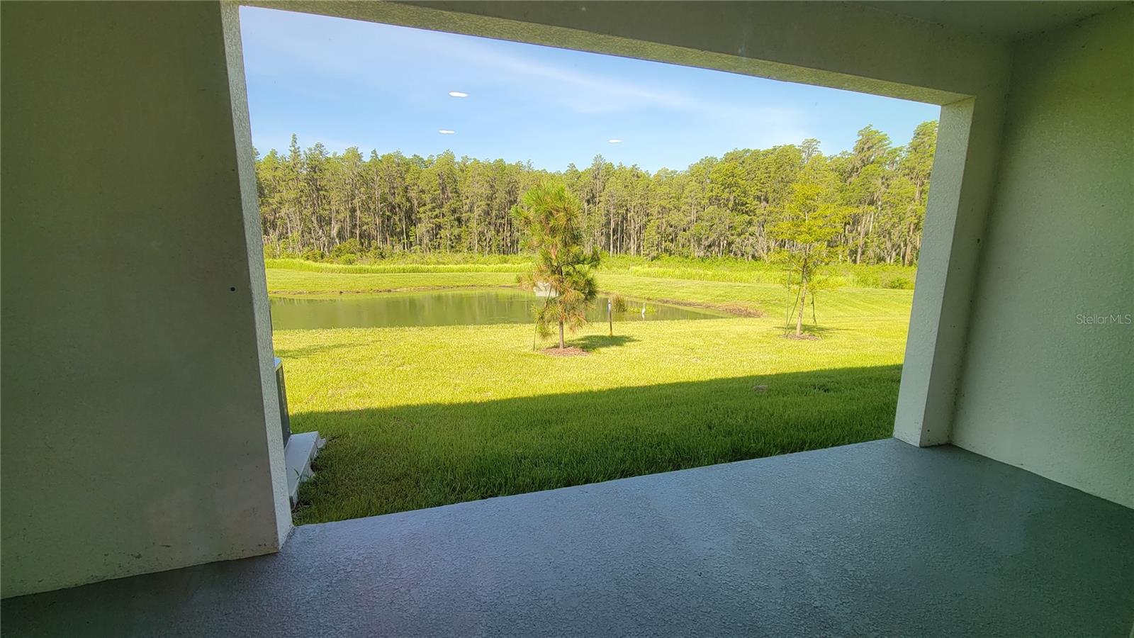 32173 TURTLE GRACE LOOP