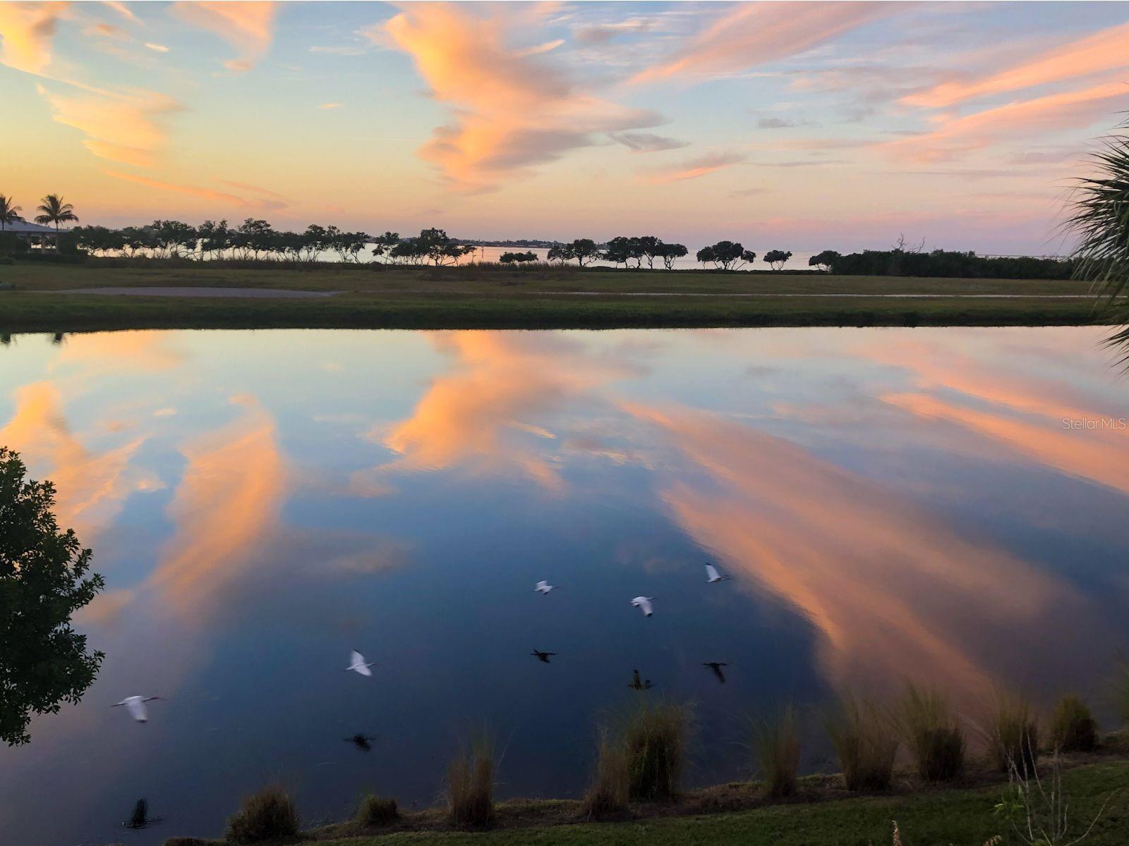 230 SAPPHIRE LAKE DR #201