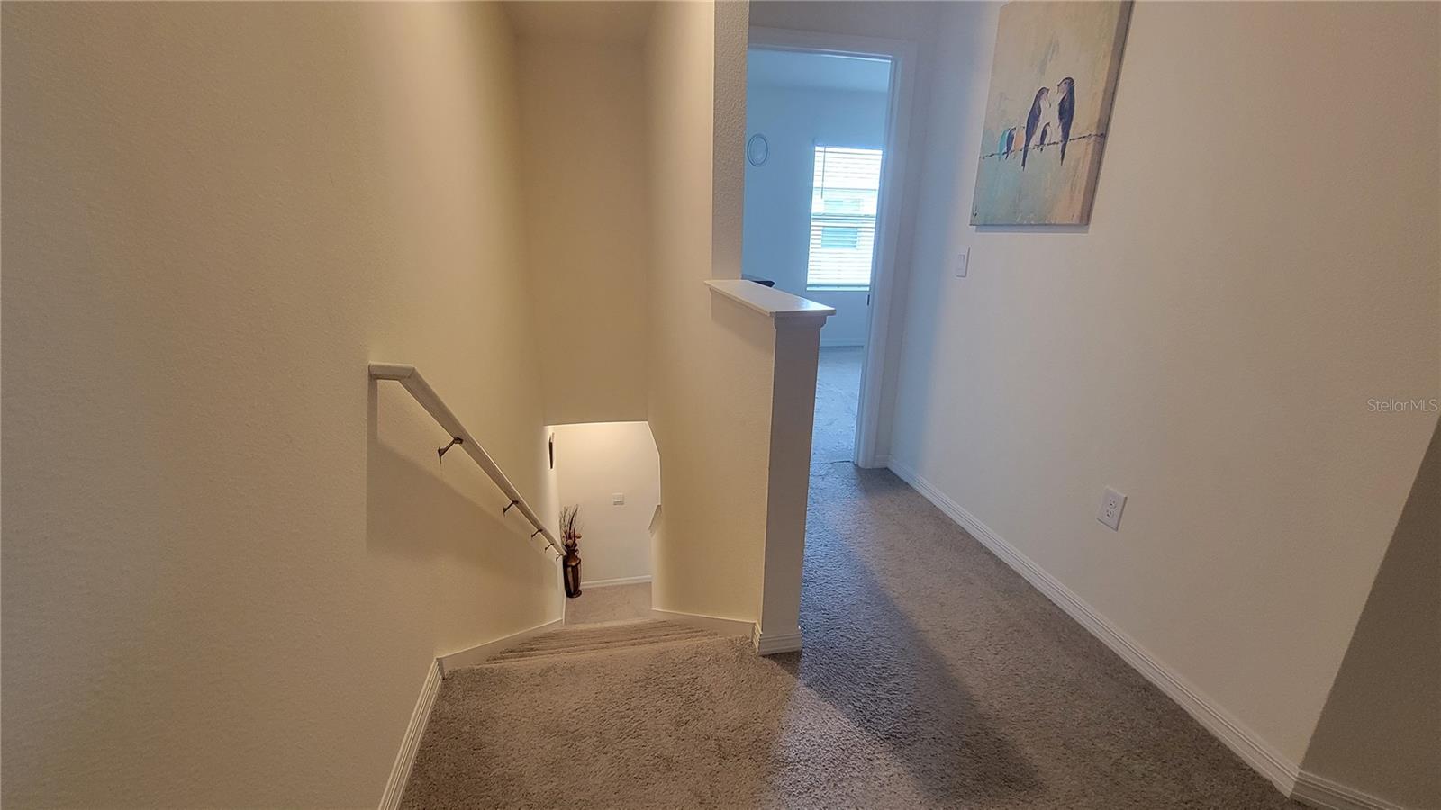 2884 EVERGREEN ELM PASS