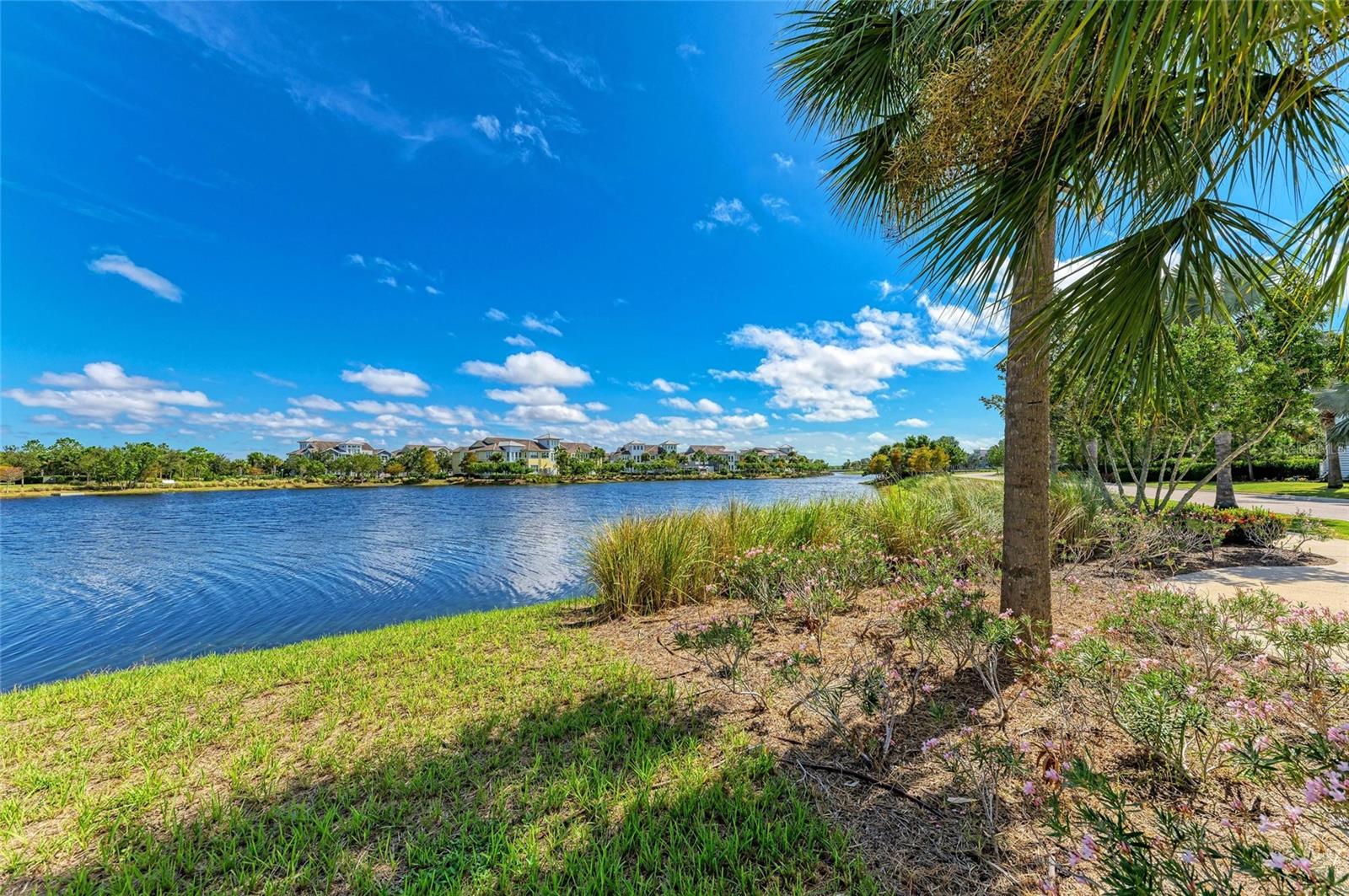 241 SAPPHIRE LAKE DR #201