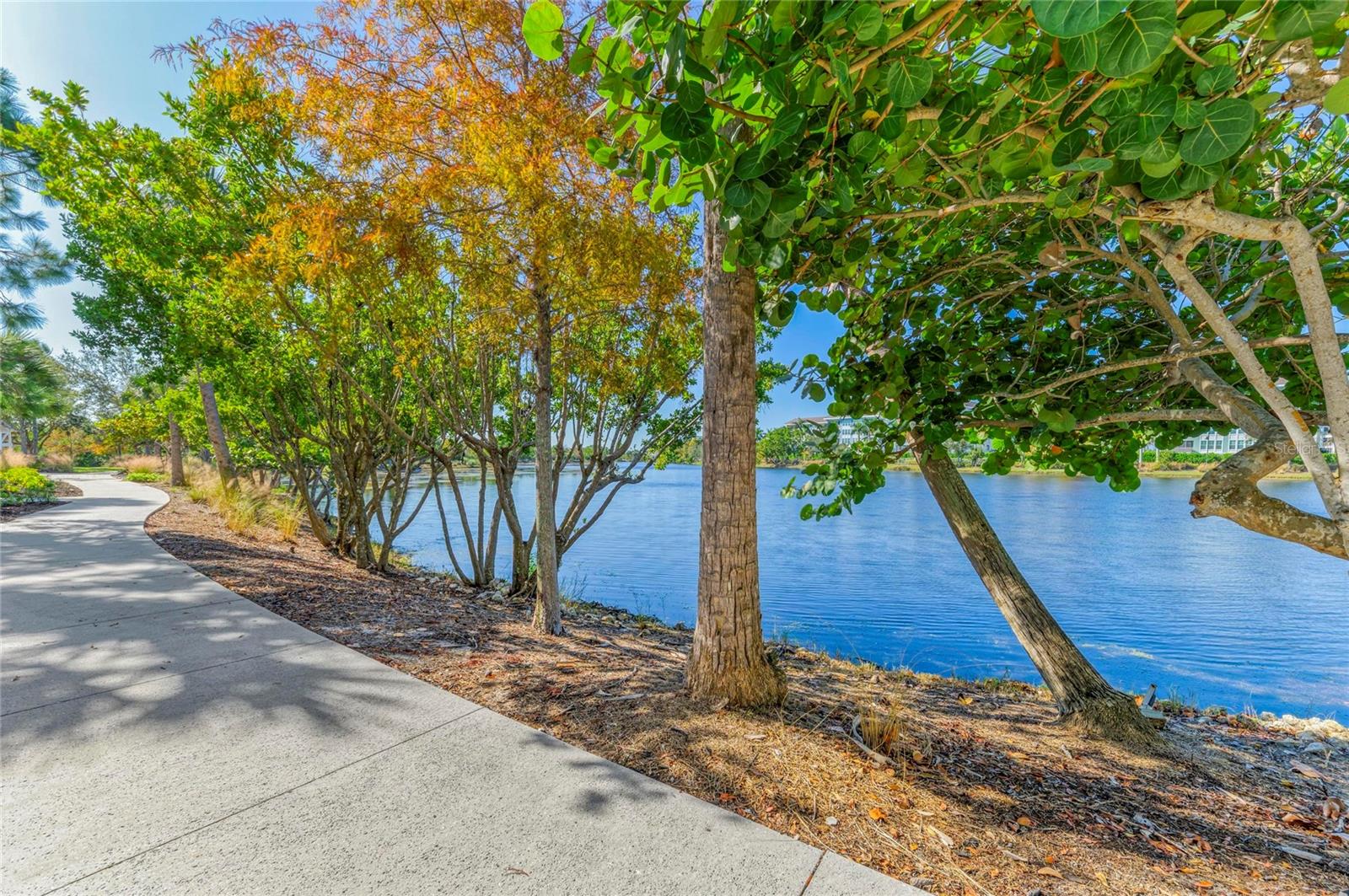 348 SAPPHIRE LAKE DR #201