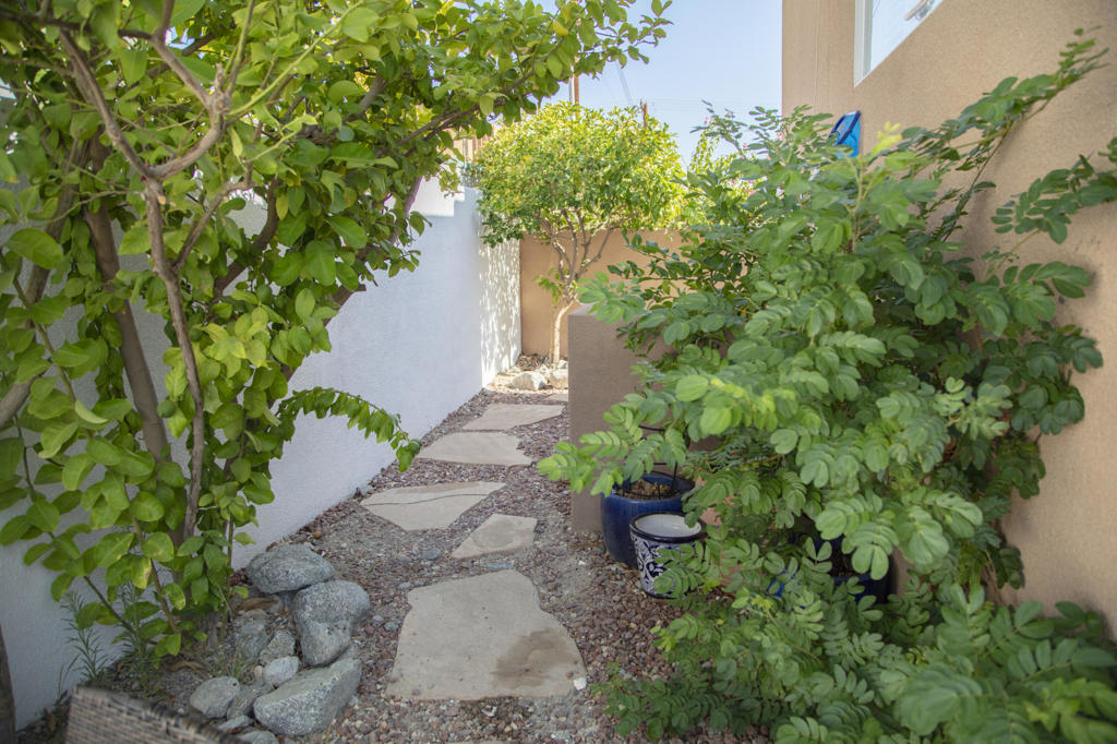 53785 Avenida Madero