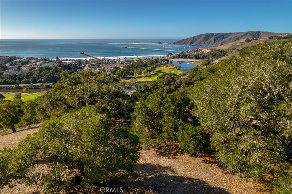 2665 Vista De Avila