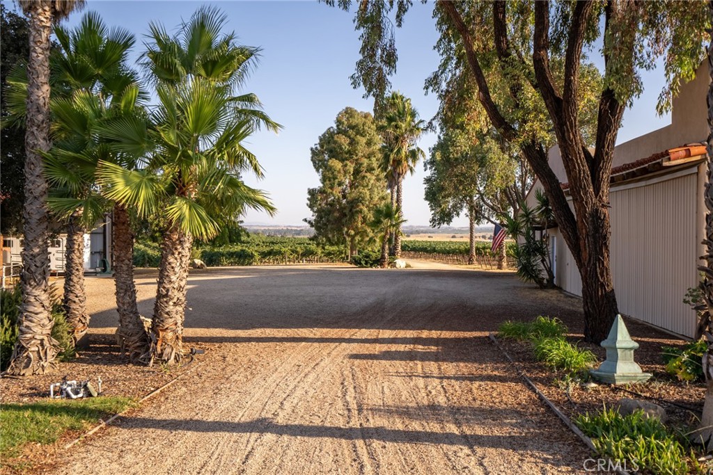 7010 Wilderness Lane