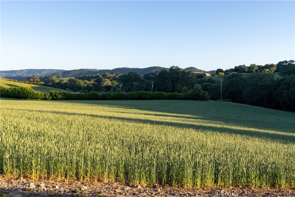 5250 , 5260 Vineyard