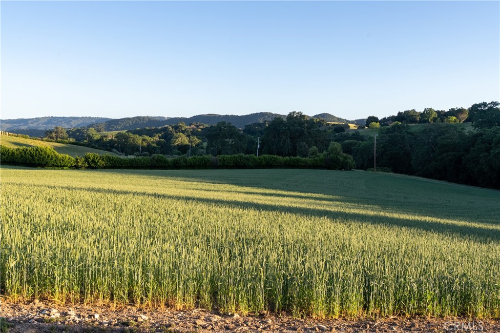 5250 , 5260 Vineyard