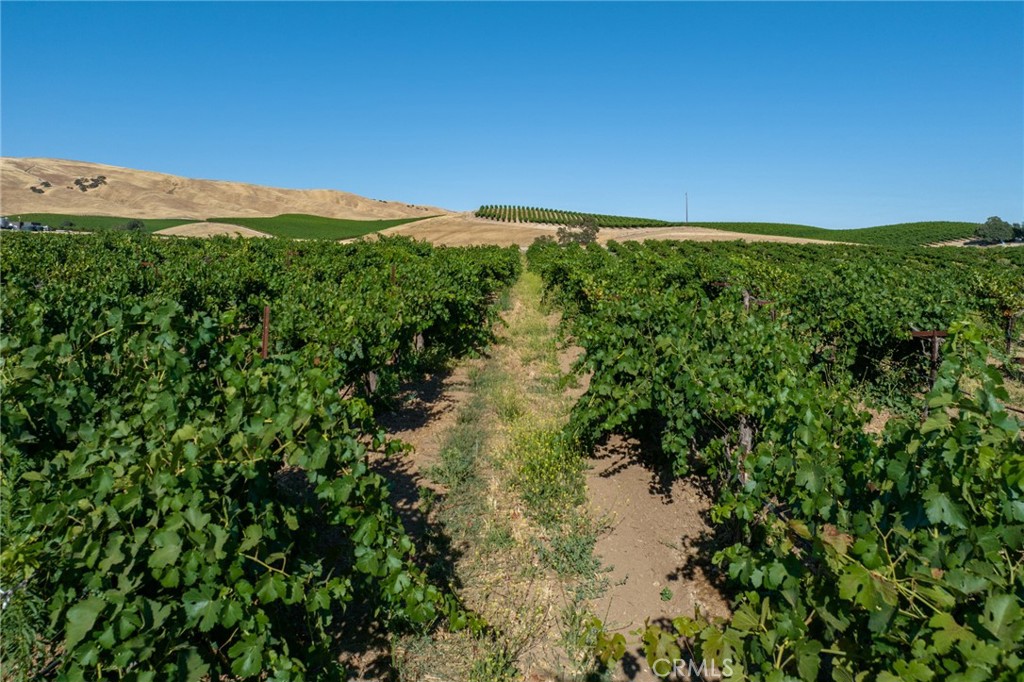 8585 Cross Canyons