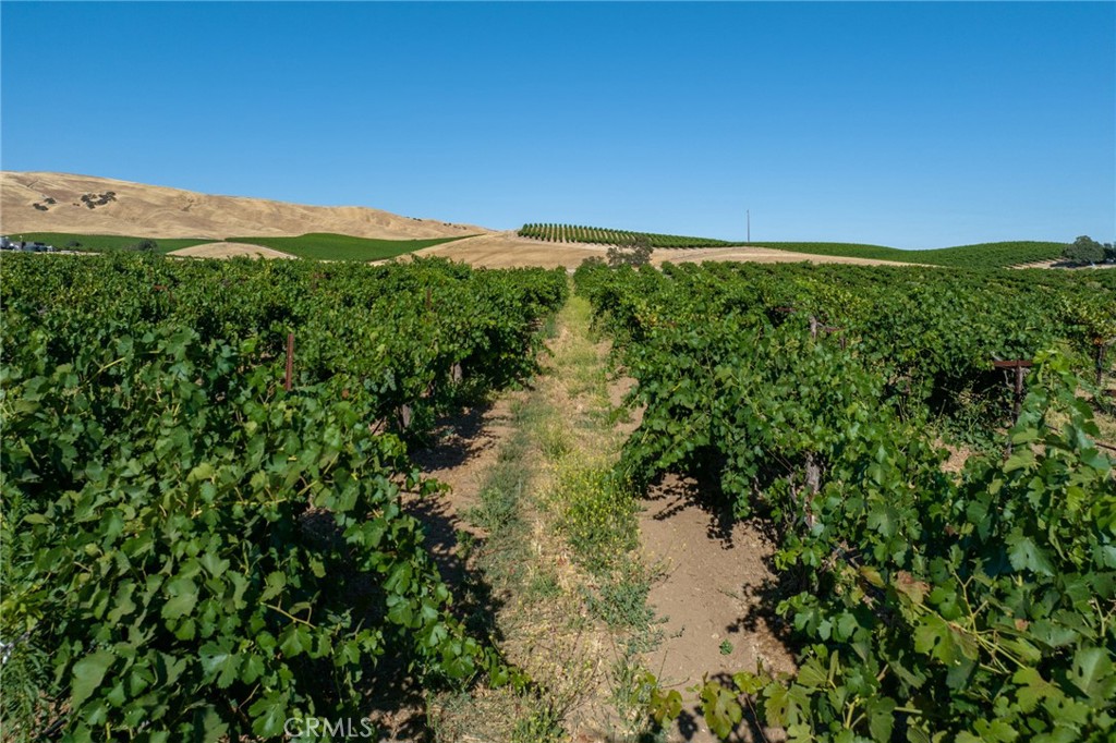 8585 Cross Canyons