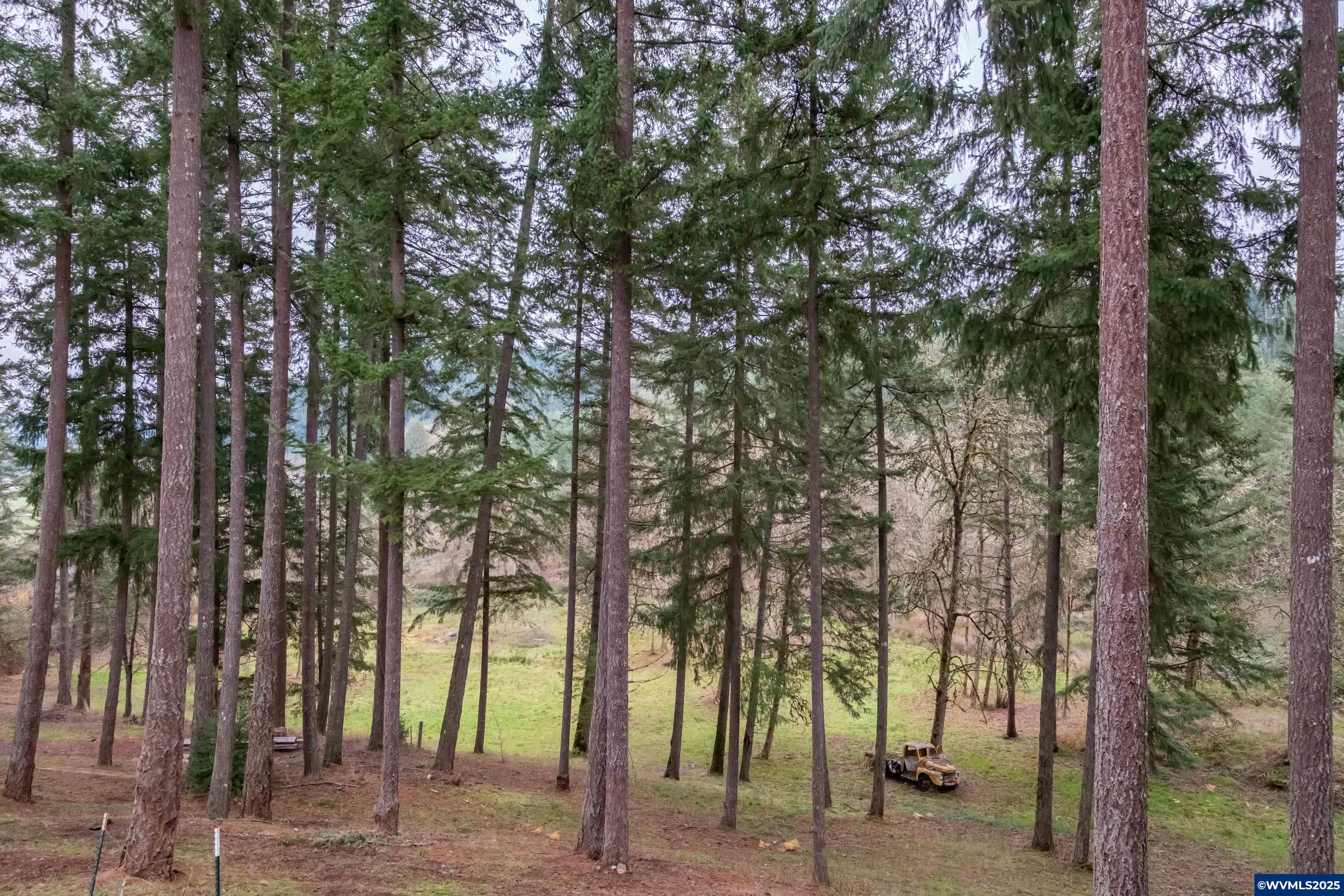 32583 Bellinger Scale Rd