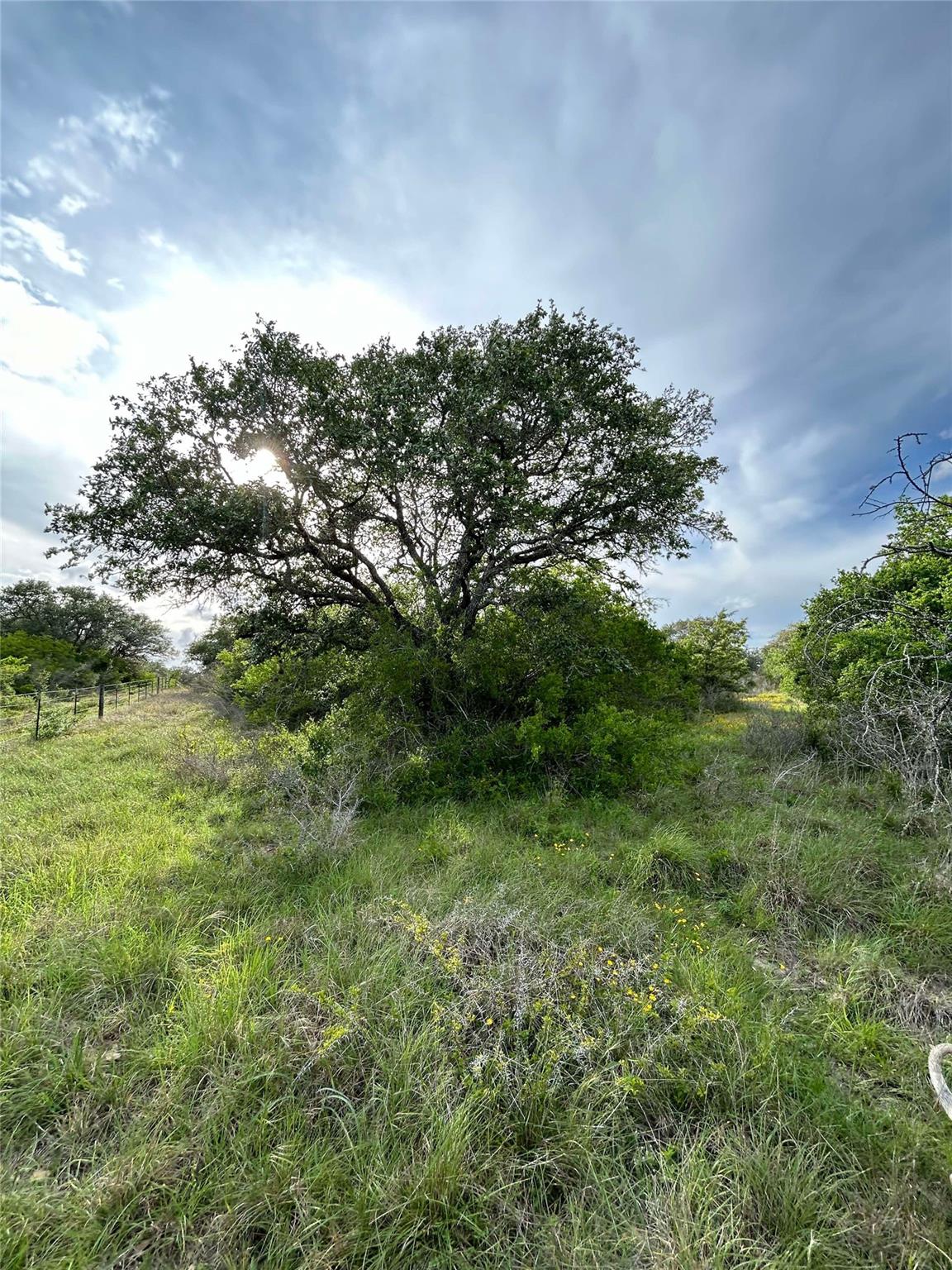 4025 Oil Field Road